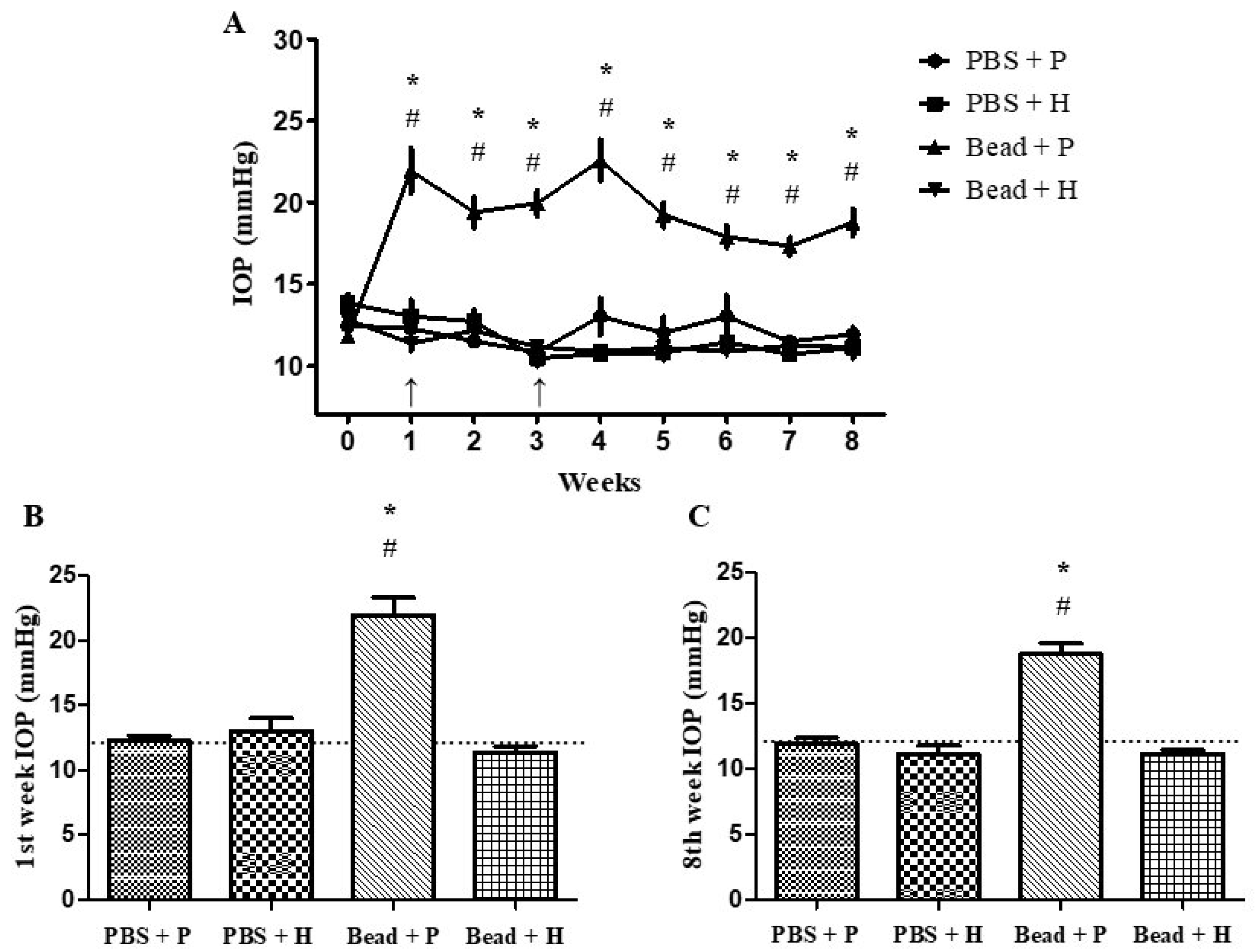 Antioxidants 14 00549 g001