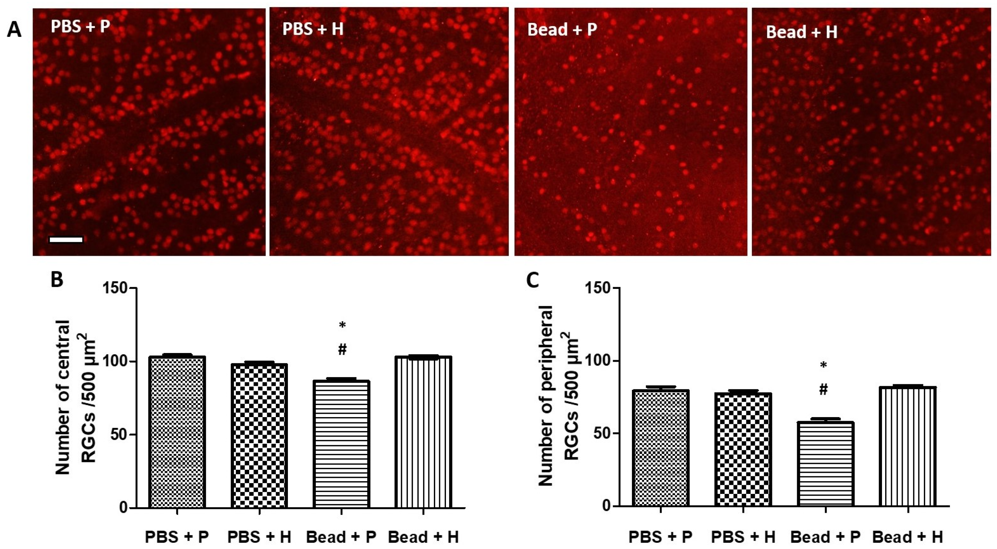 Antioxidants 14 00549 g002