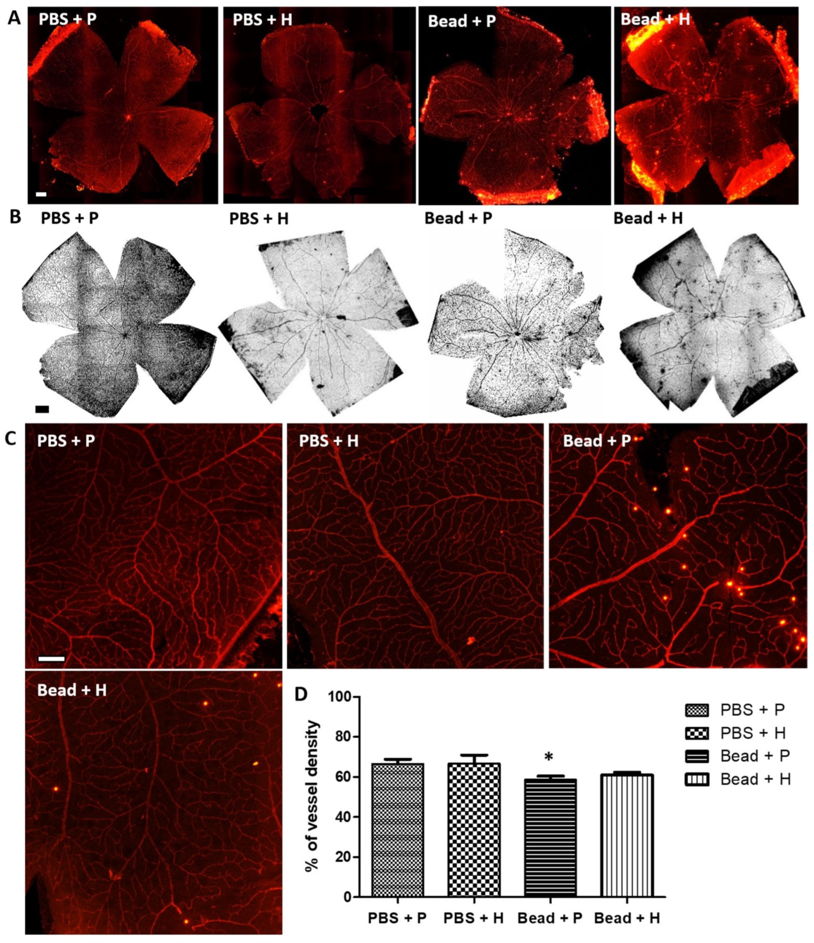 Antioxidants 14 00549 g004