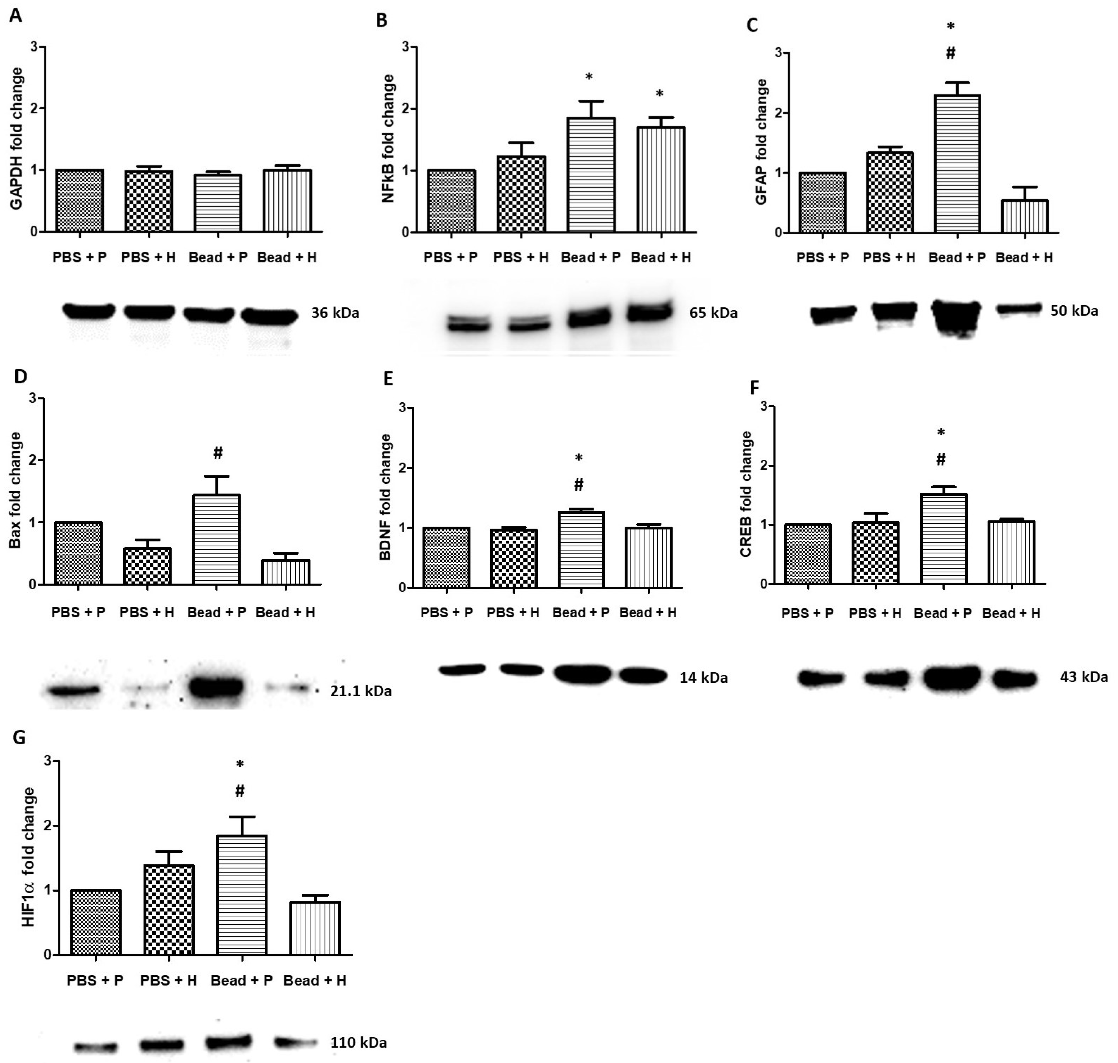 Antioxidants 14 00549 g008