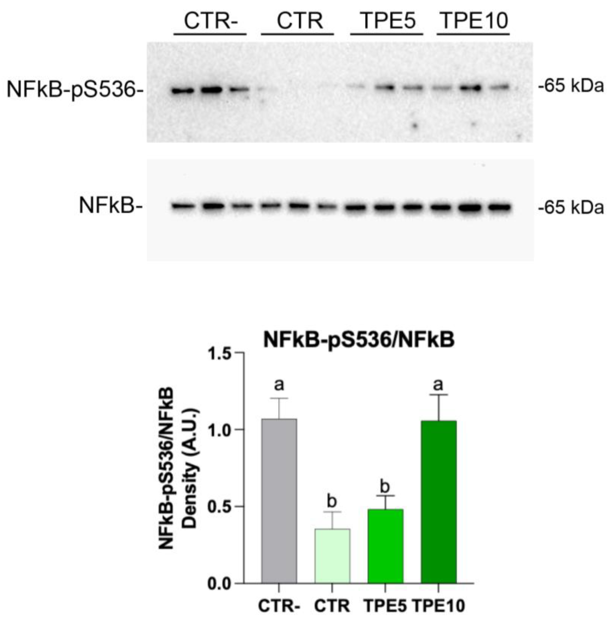 Antioxidants 14 00550 g005