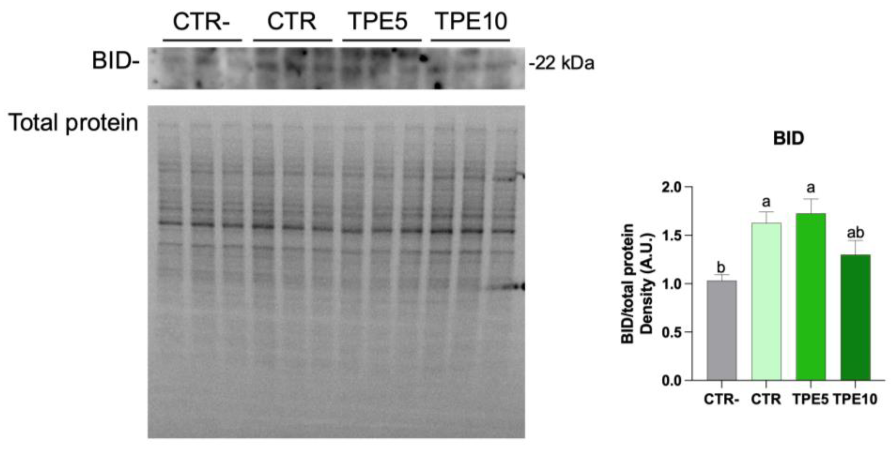 Antioxidants 14 00550 g006
