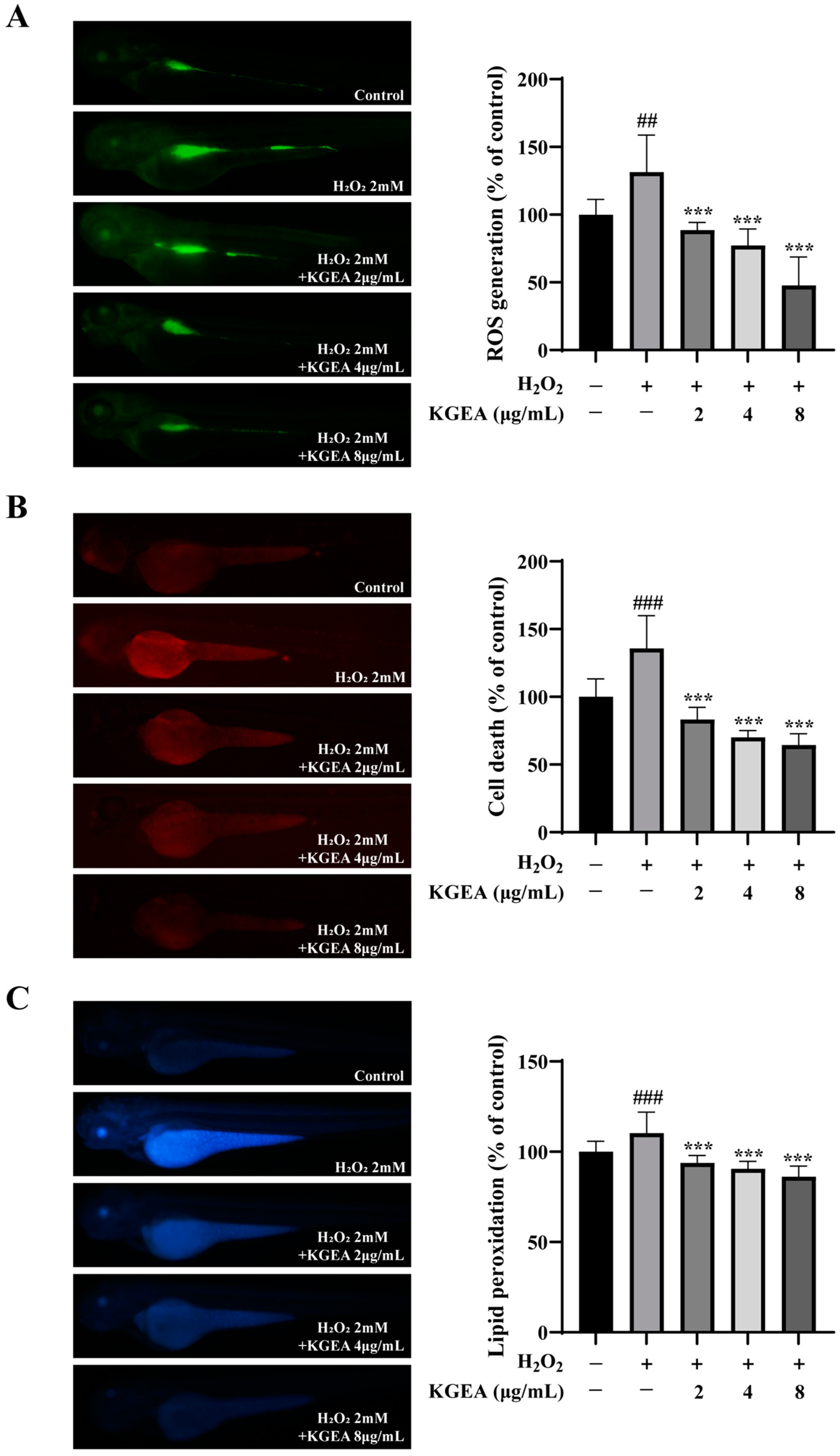 Antioxidants 14 00551 g009