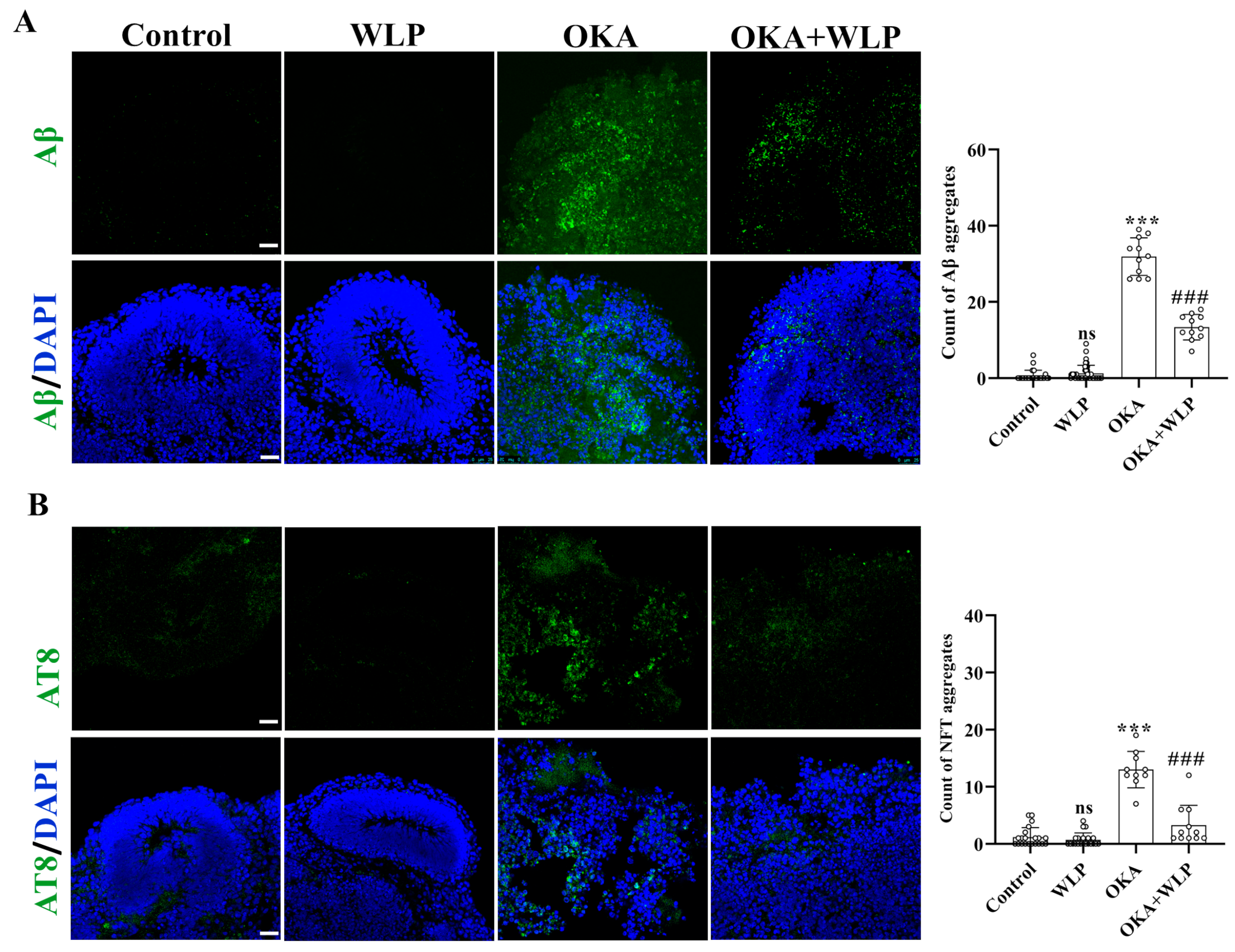 Antioxidants 14 00553 g004