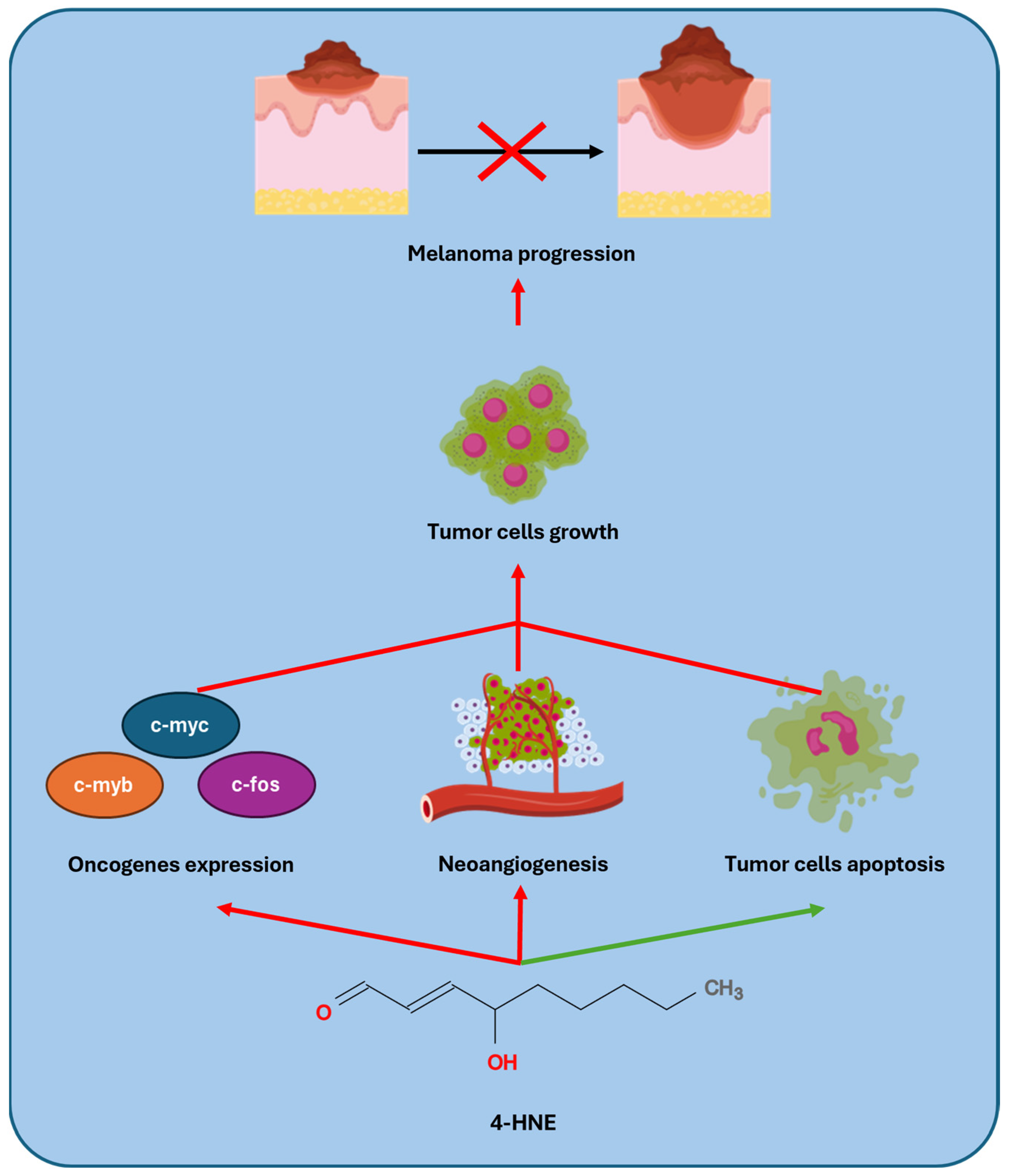 Antioxidants 14 00555 g003