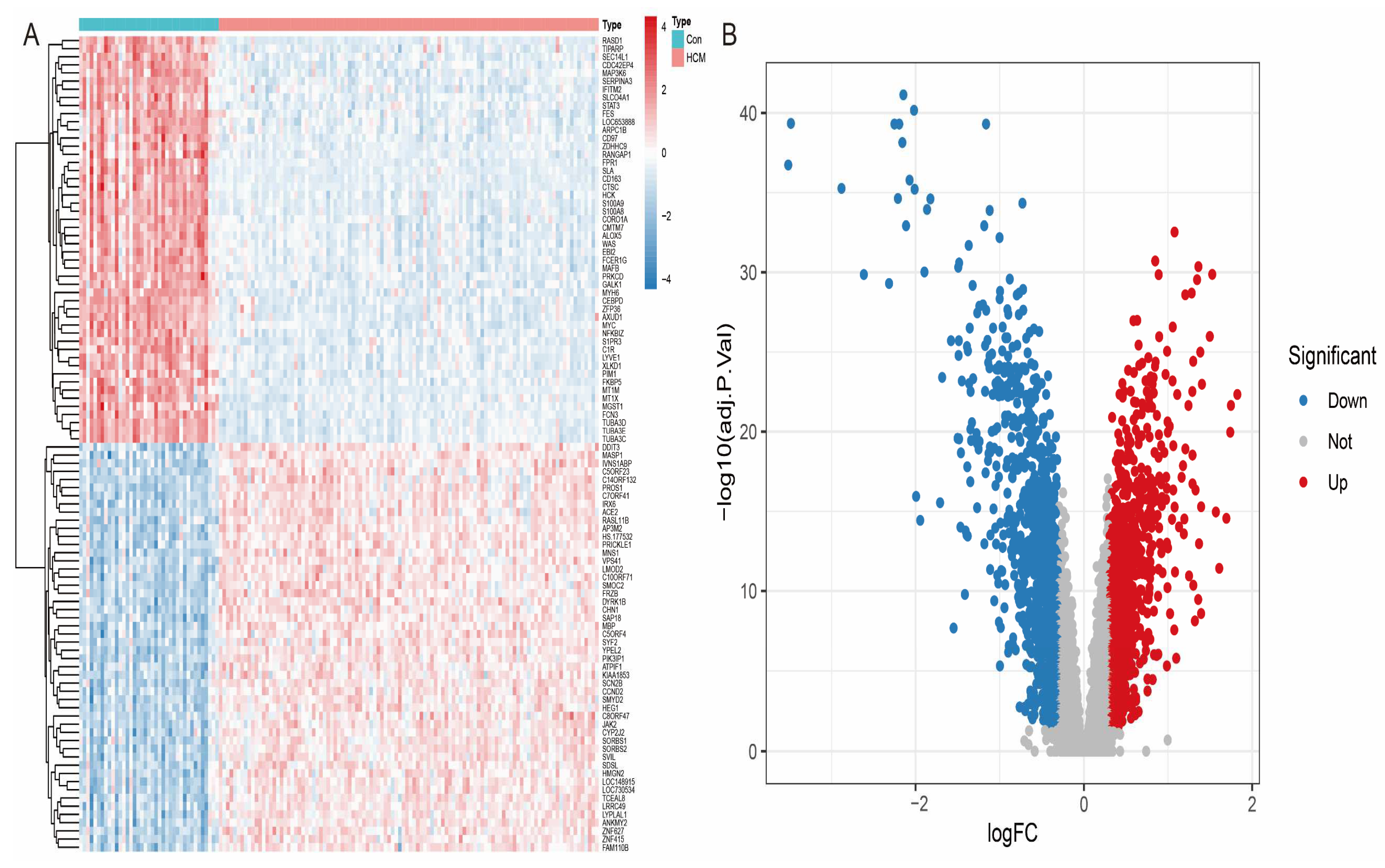 Antioxidants 14 00557 g003