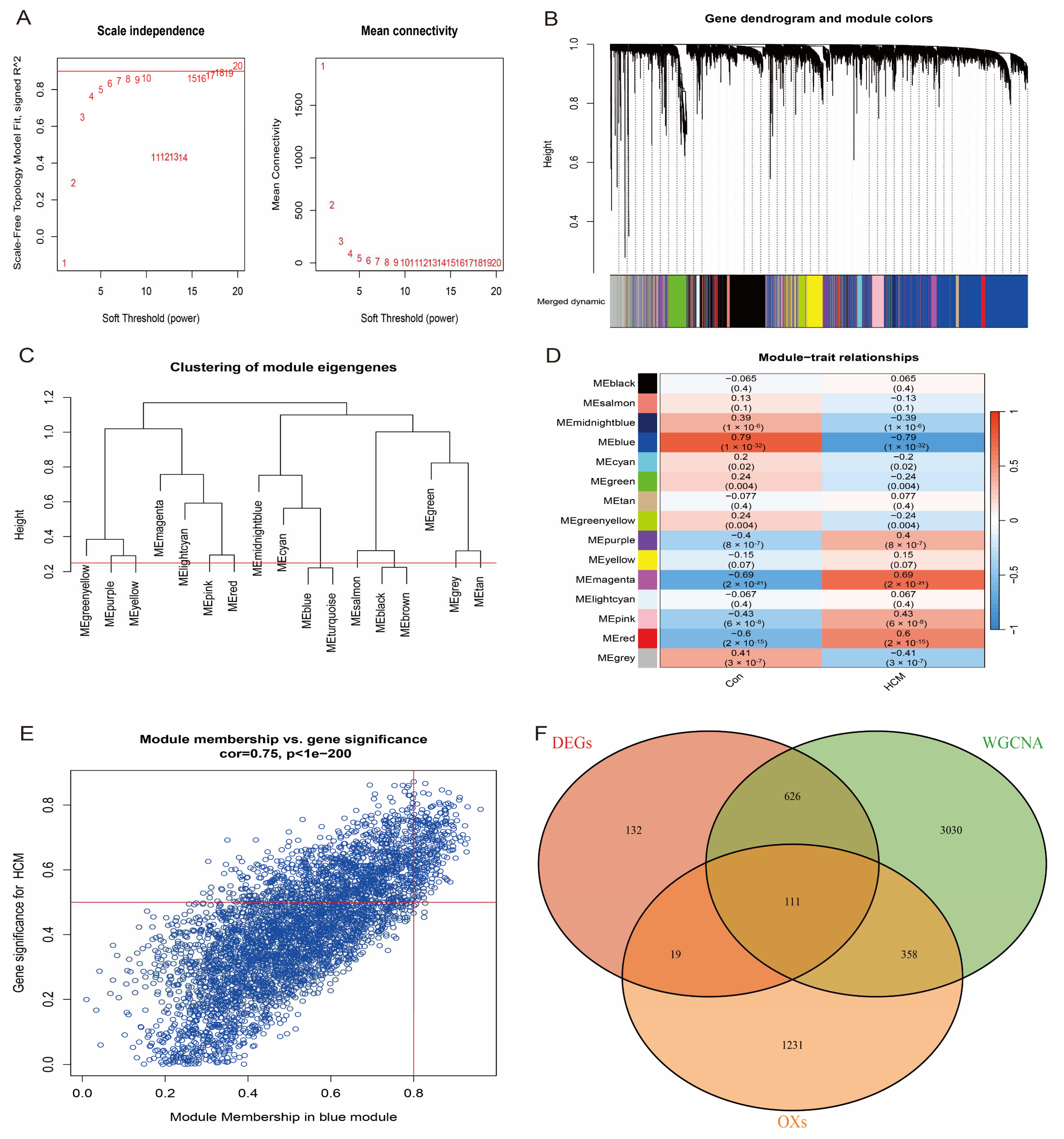 Antioxidants 14 00557 g004