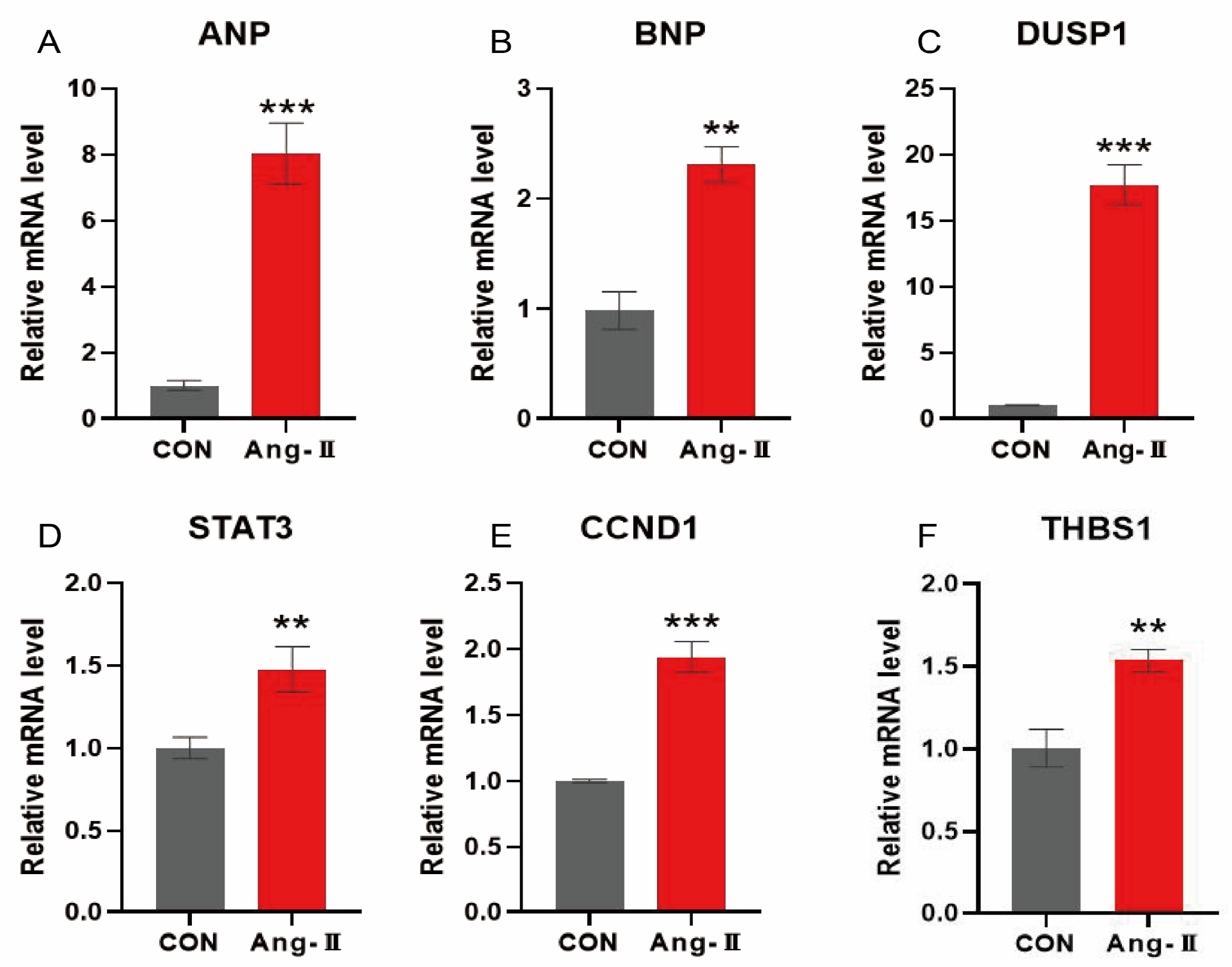 Antioxidants 14 00557 g013