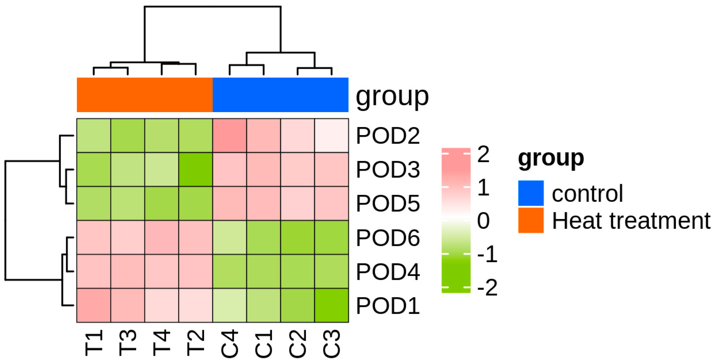 Antioxidants 14 00562 g001 Antioxidants 14 00562 g001