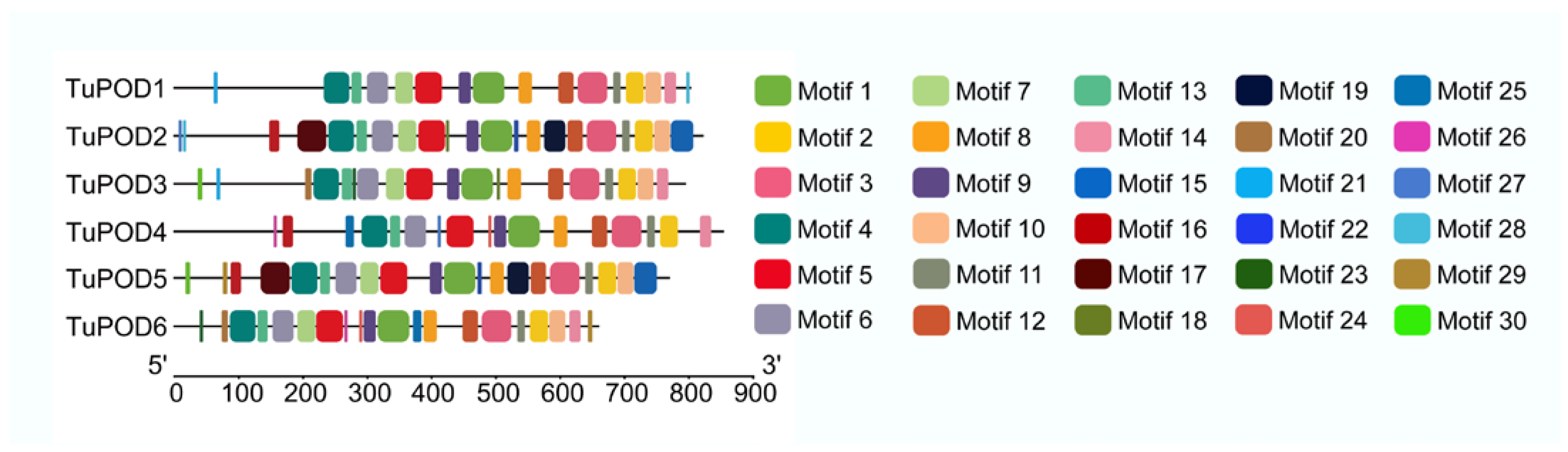 Antioxidants 14 00562 g003 Antioxidants 14 00562 g003