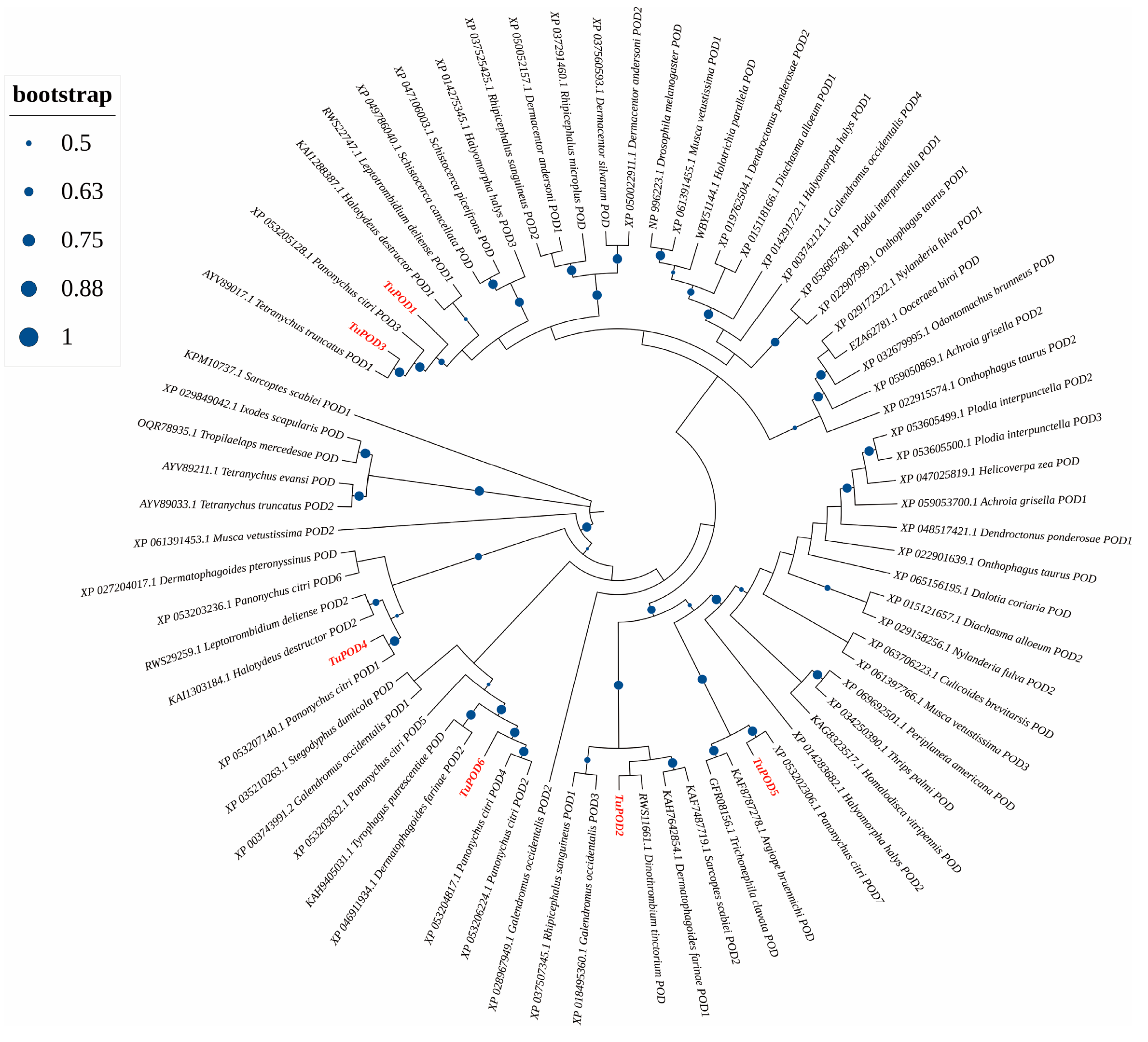 Antioxidants 14 00562 g004 Antioxidants 14 00562 g004