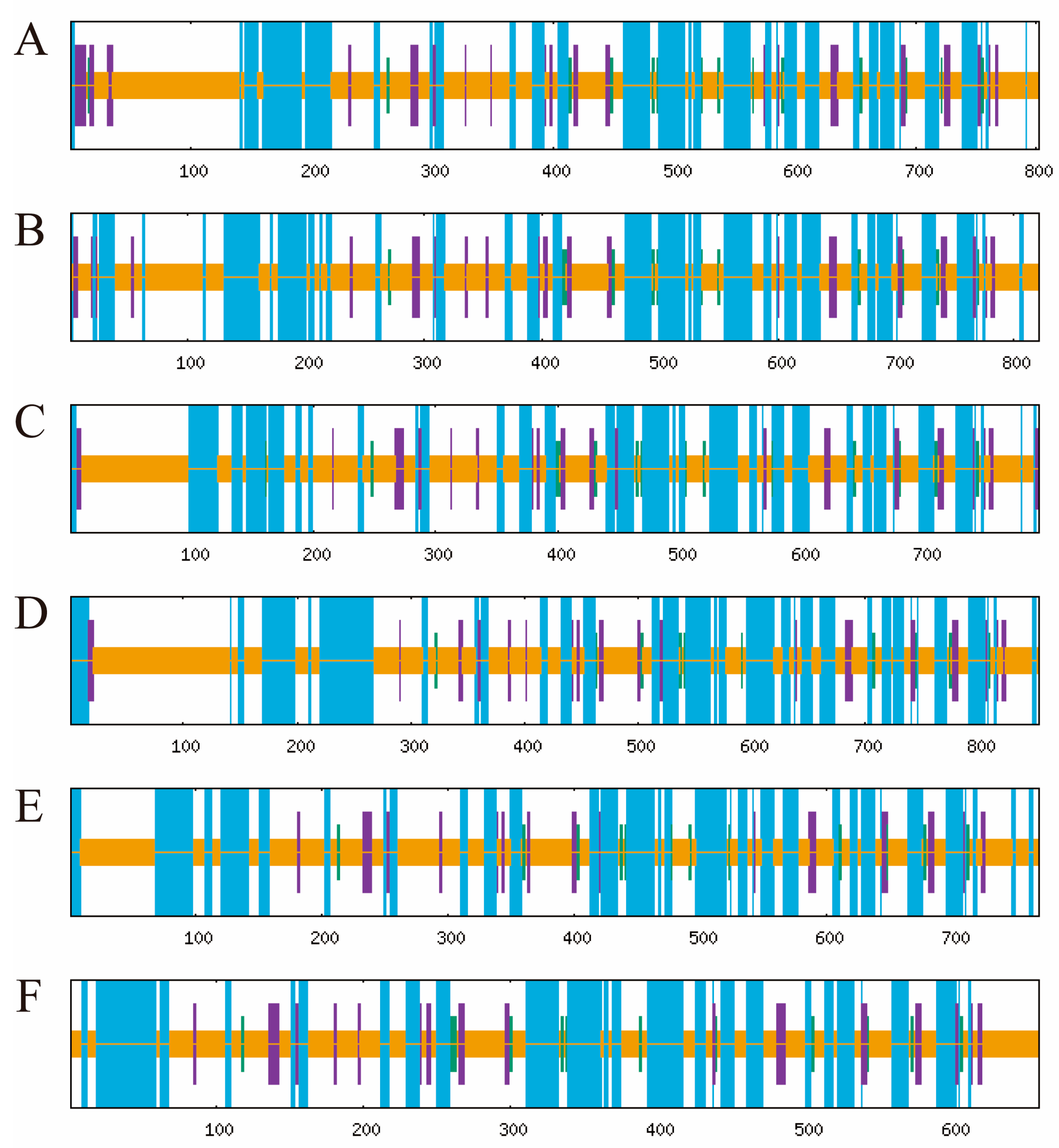 Antioxidants 14 00562 g005 Antioxidants 14 00562 g005