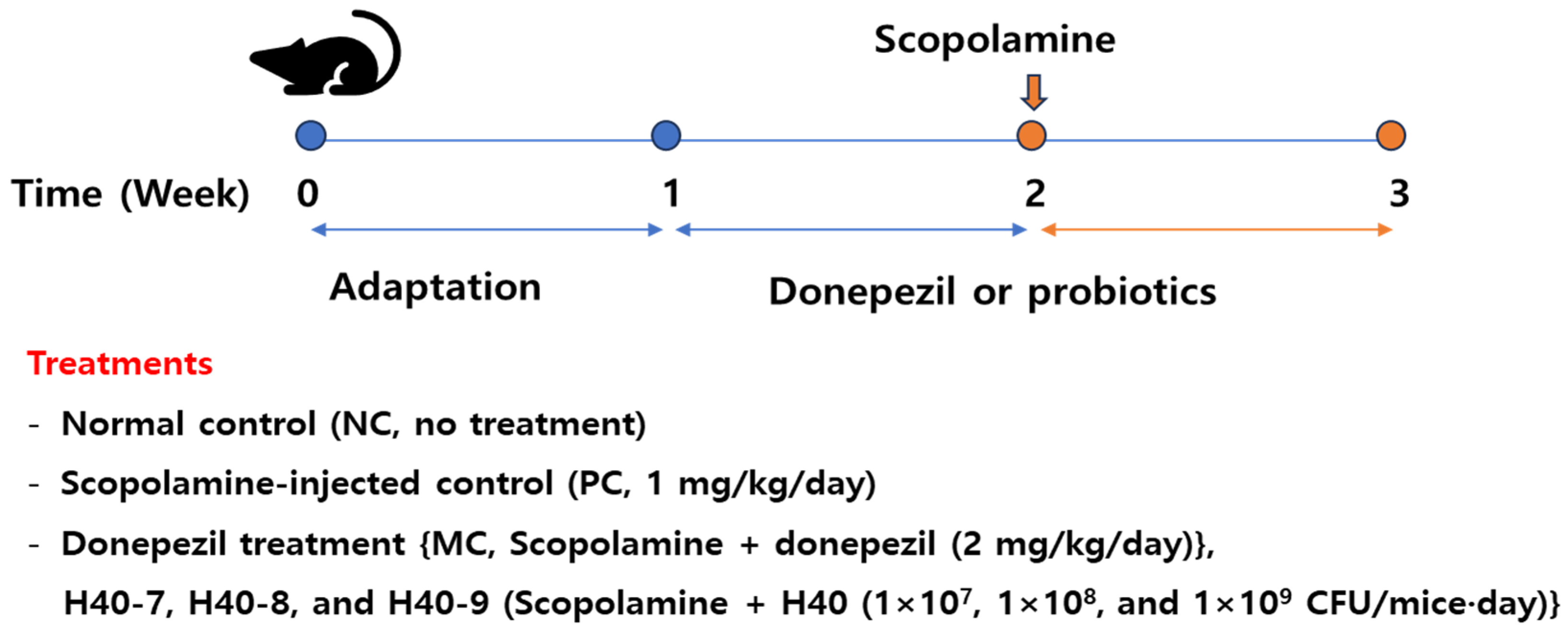 Antioxidants 14 00565 g001