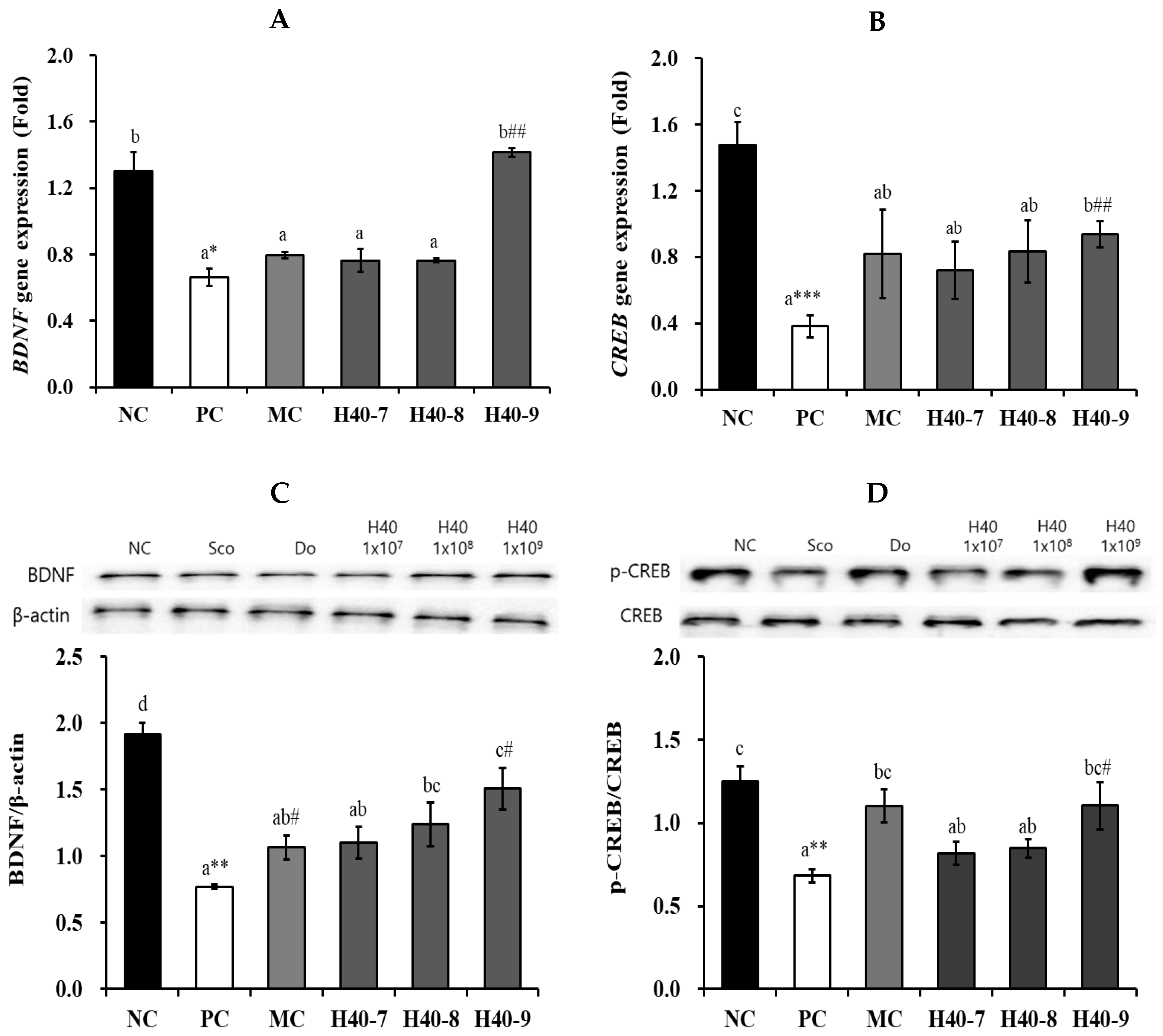 Antioxidants 14 00565 g006