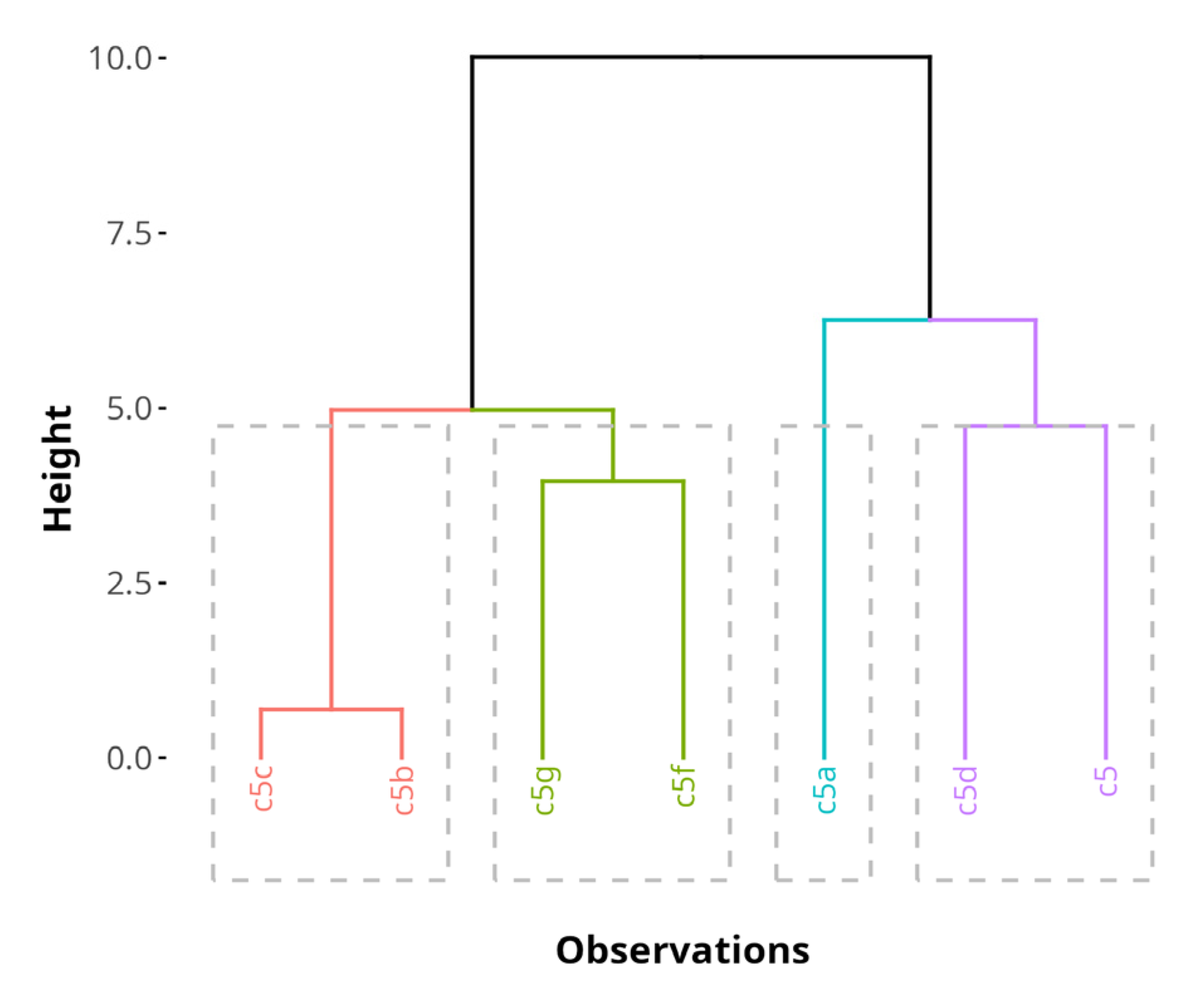 Antioxidants 14 00566 g010