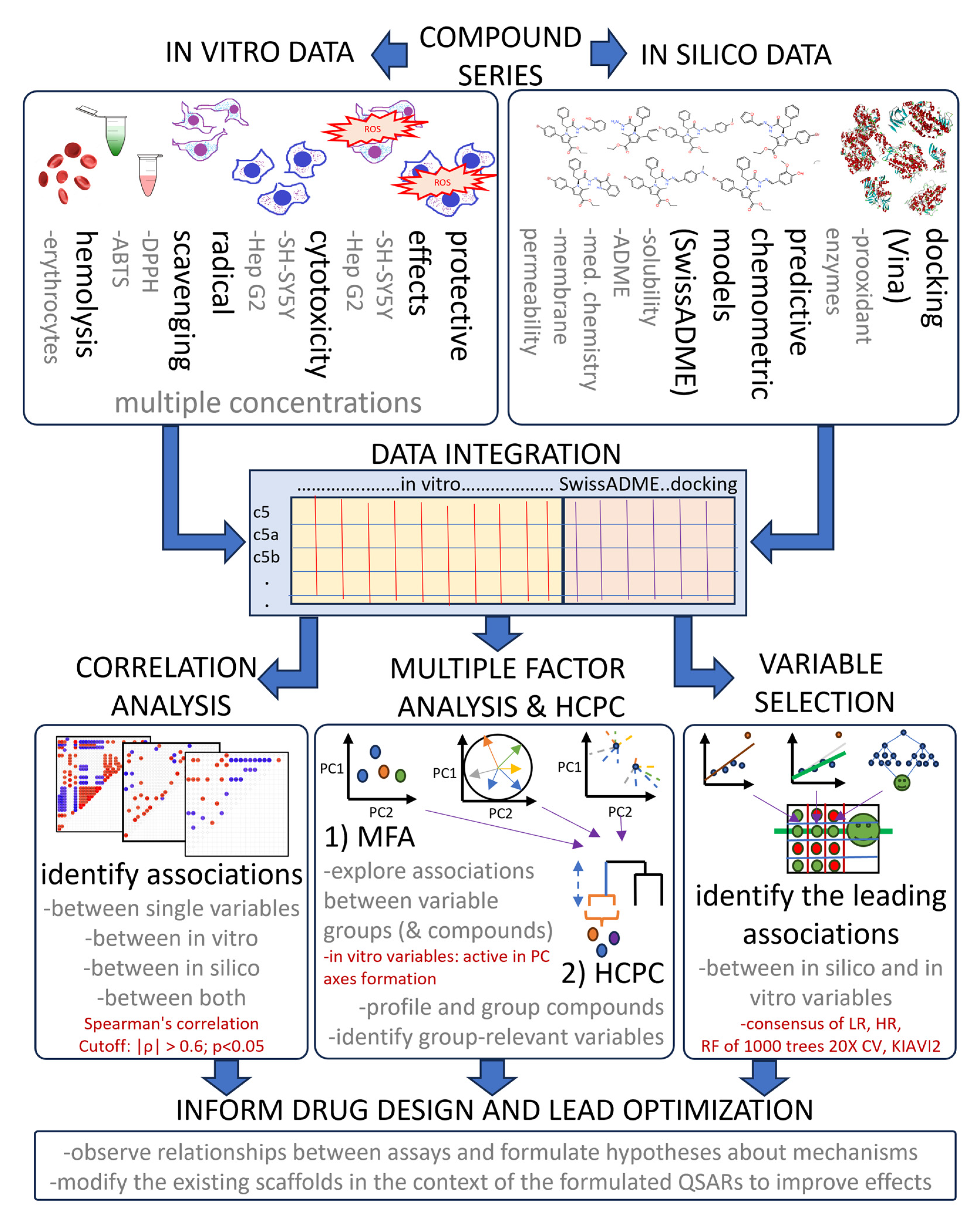 Antioxidants 14 00566 g013