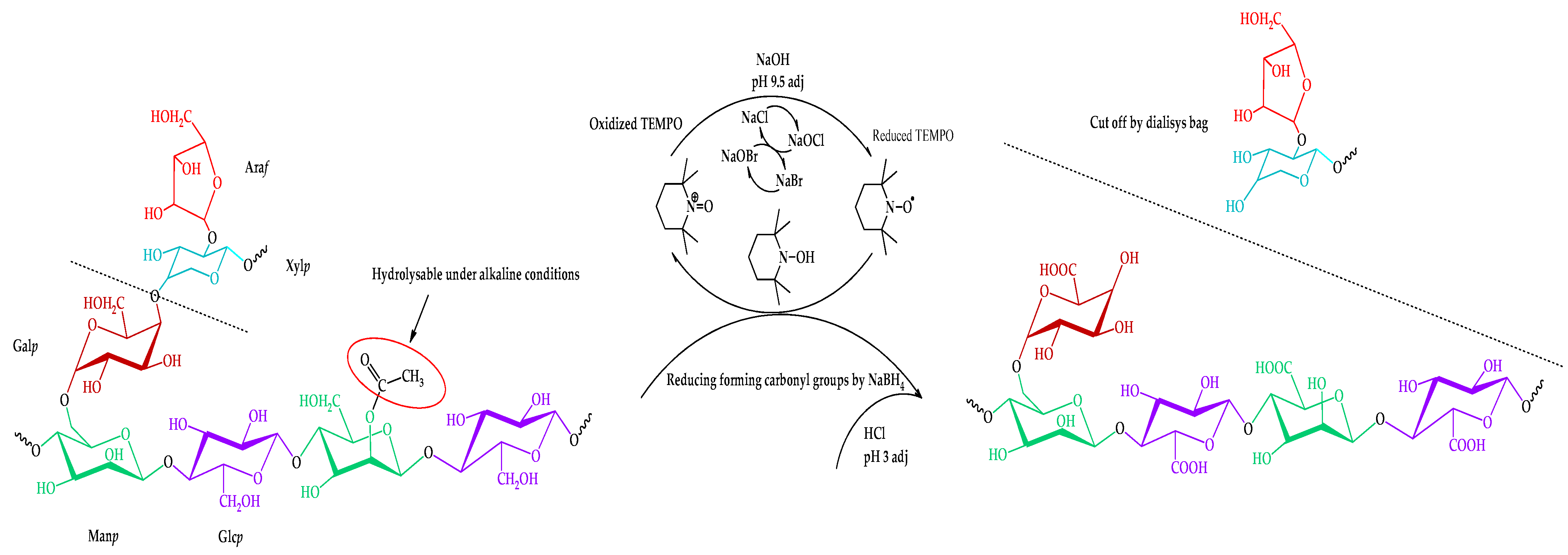 Antioxidants 14 00569 g004