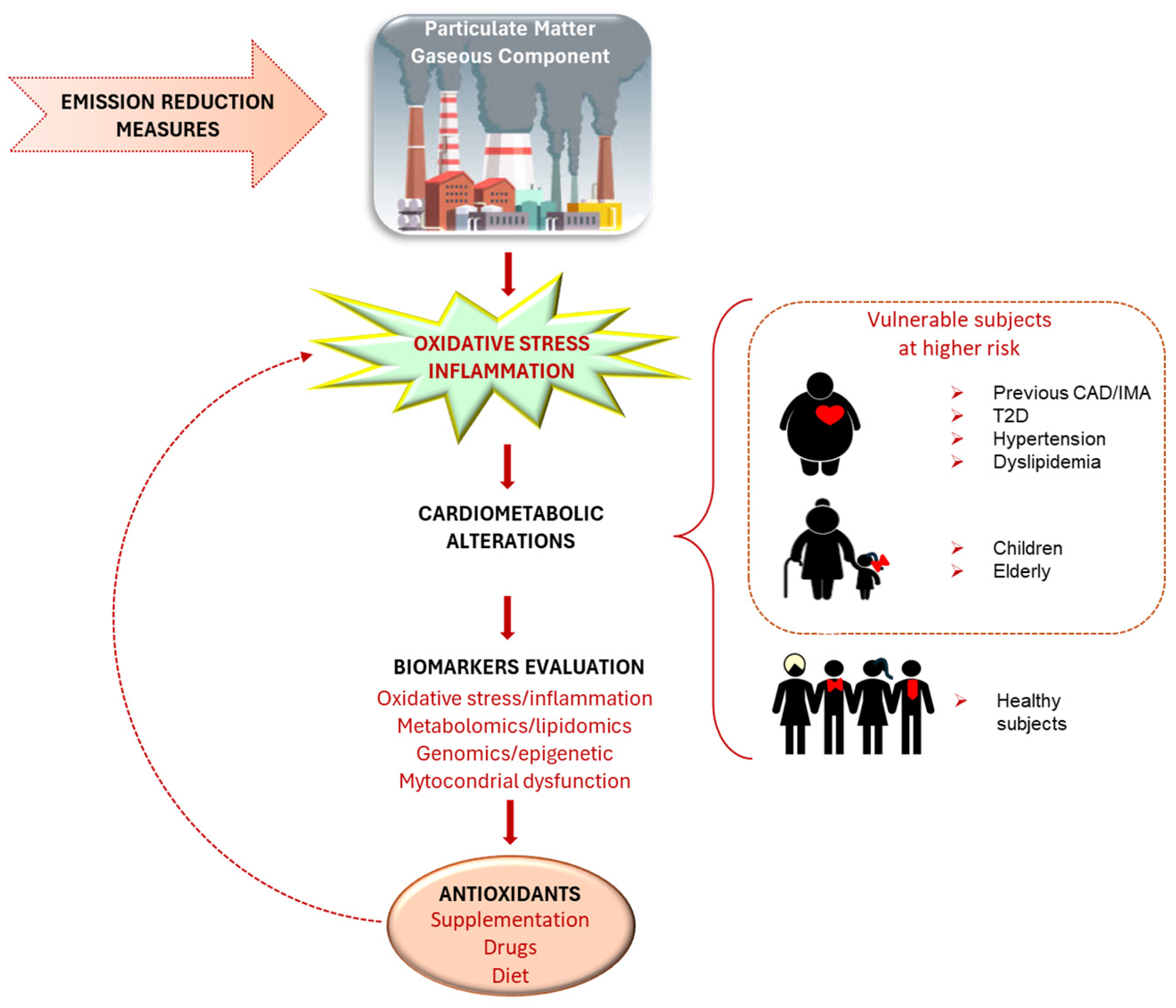 Antioxidants 14 00572 g003