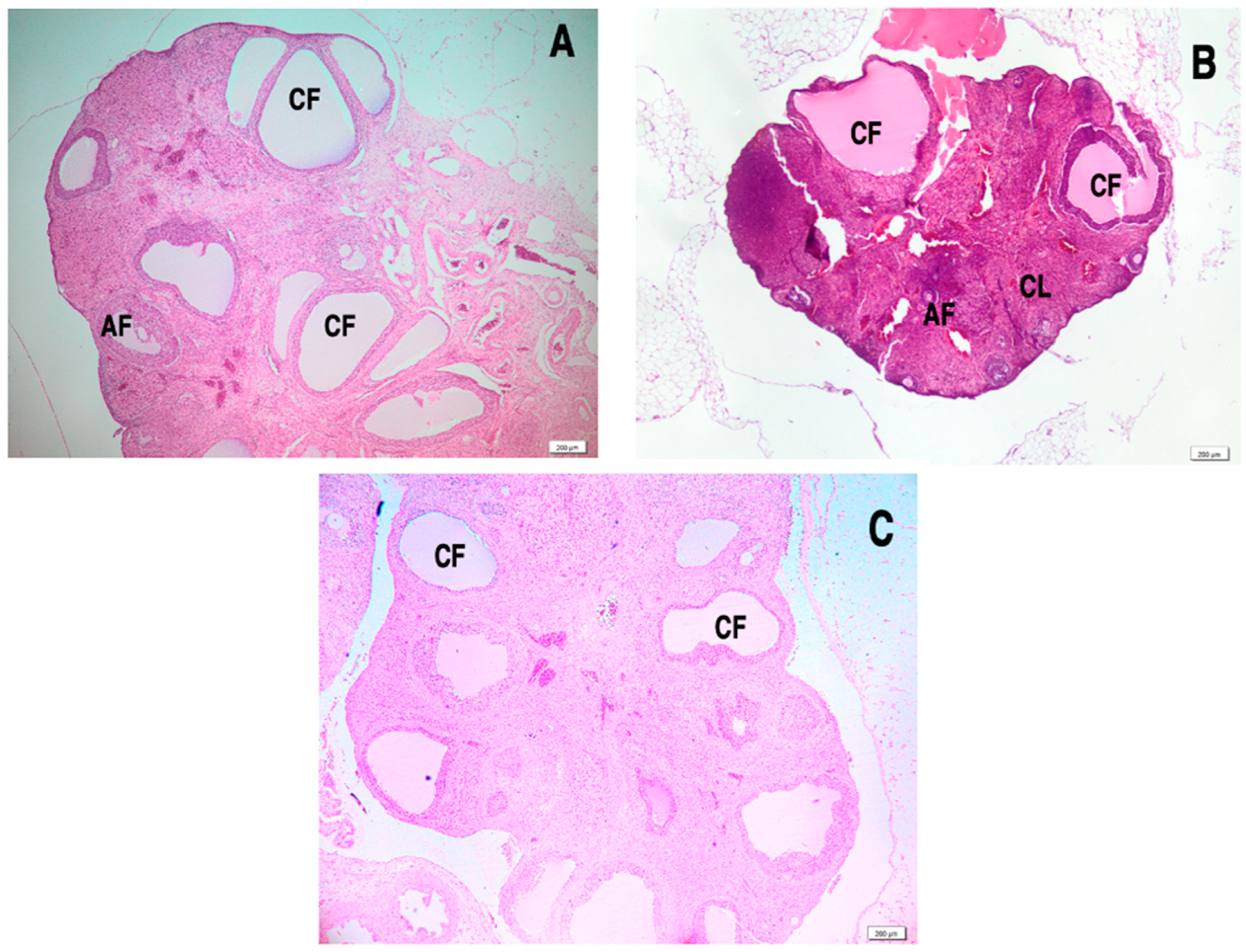 Antioxidants 14 00573 g009