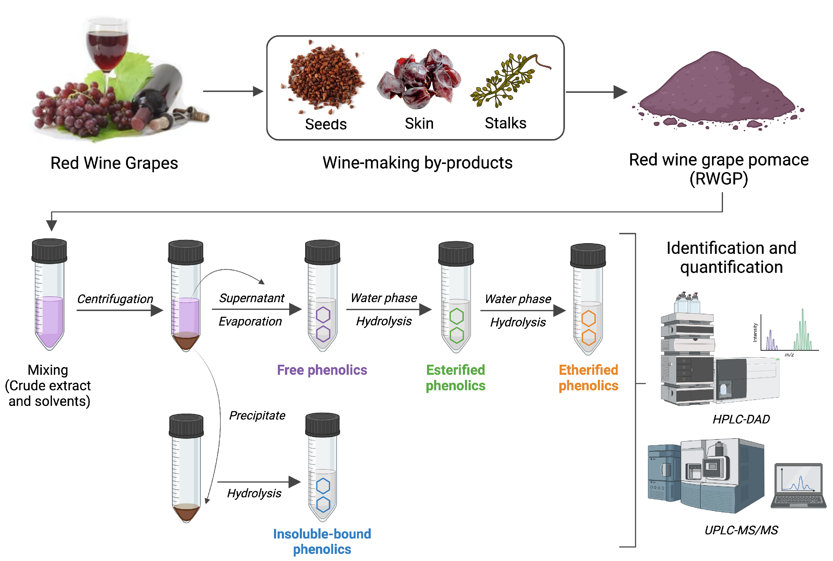 Antioxidants 14 00574 g001