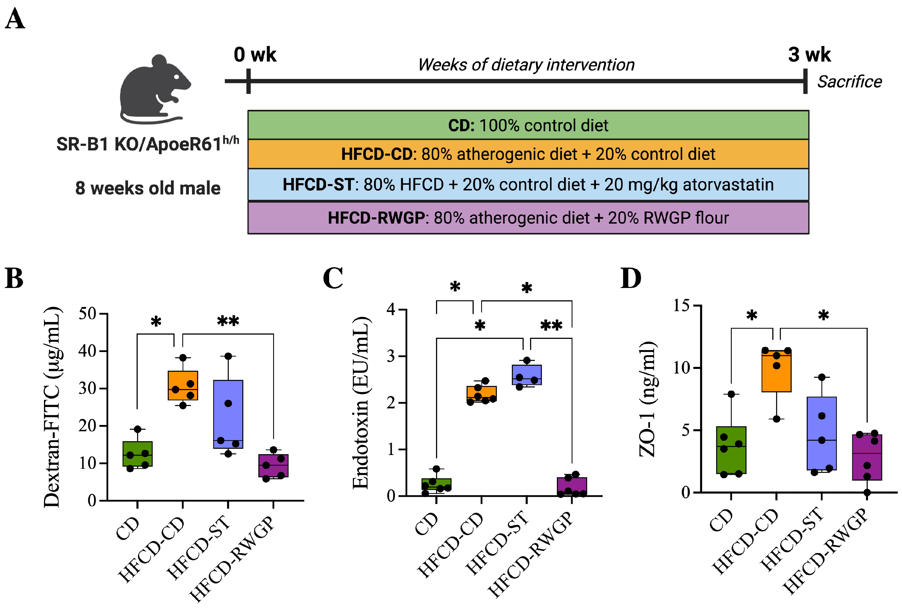 Antioxidants 14 00574 g003