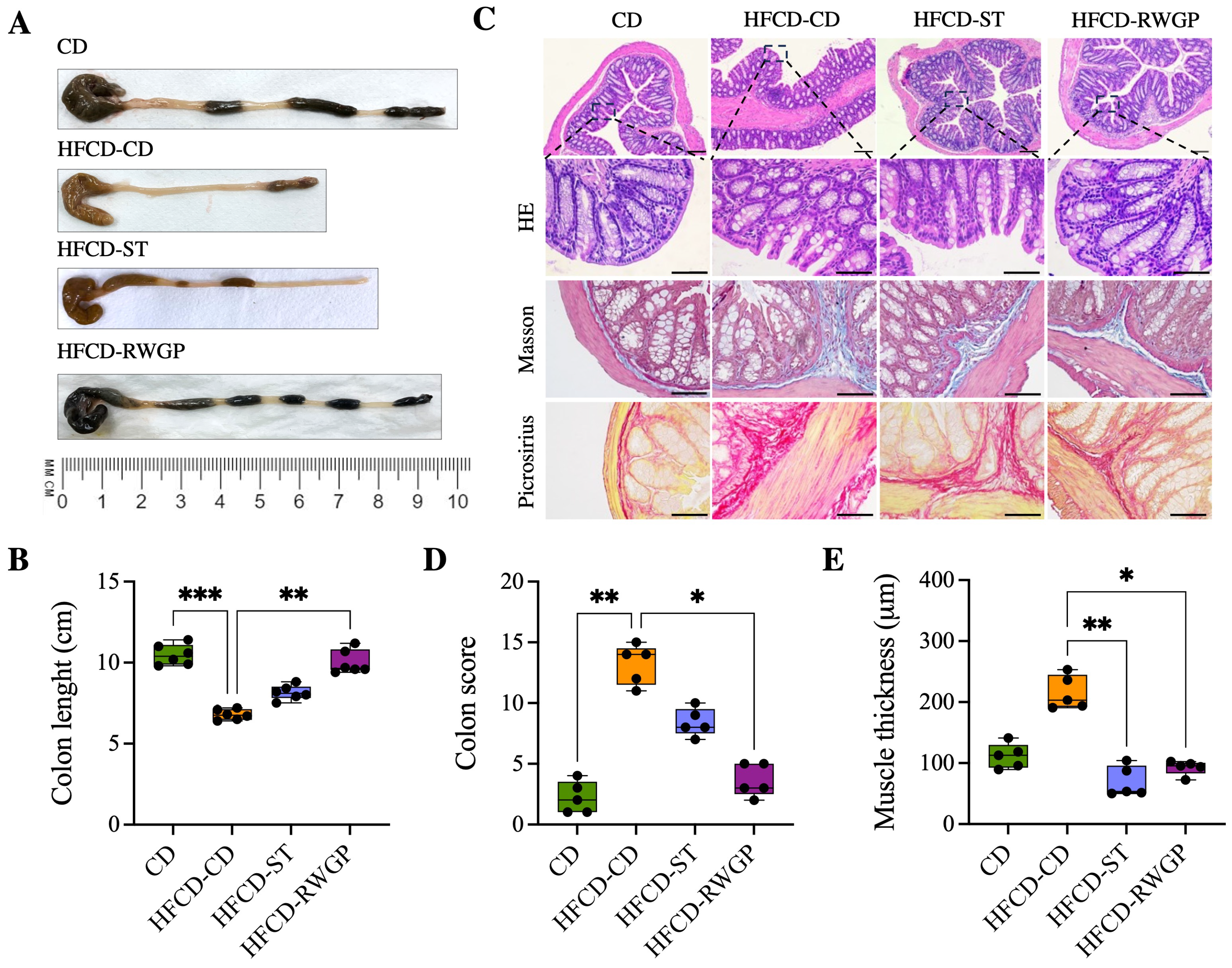 Antioxidants 14 00574 g005