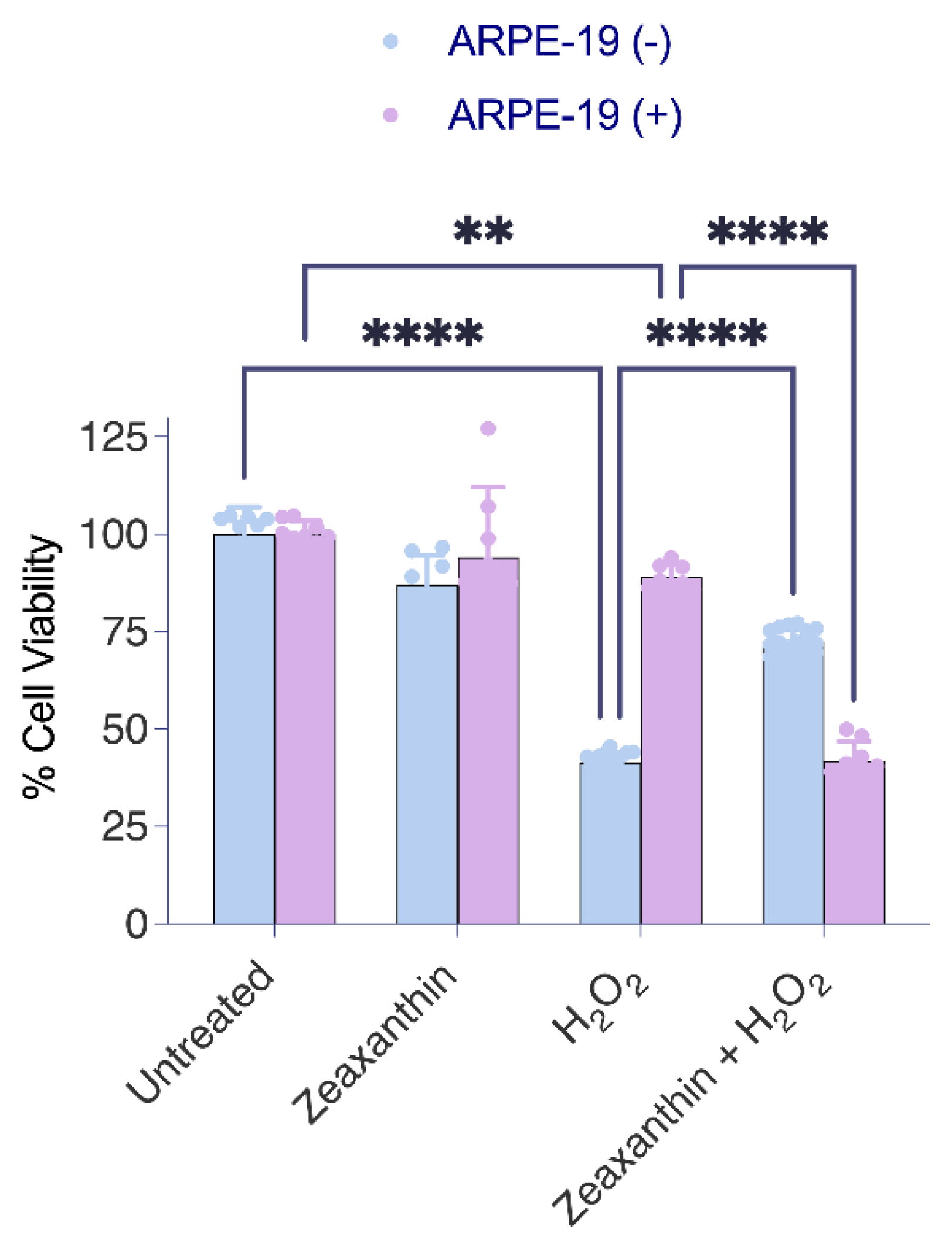 Antioxidants 14 00575 g005