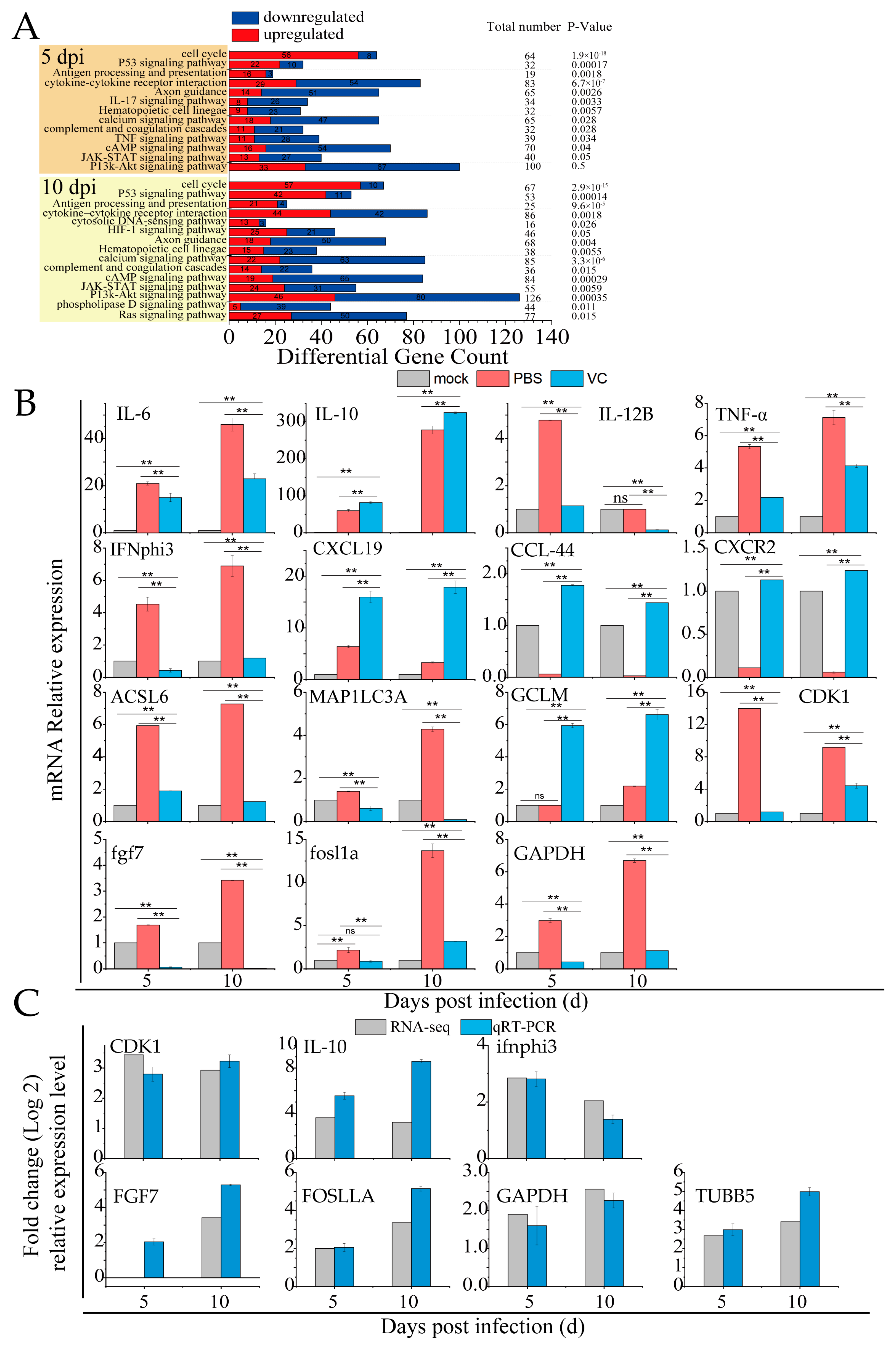 Antioxidants 14 00576 g007