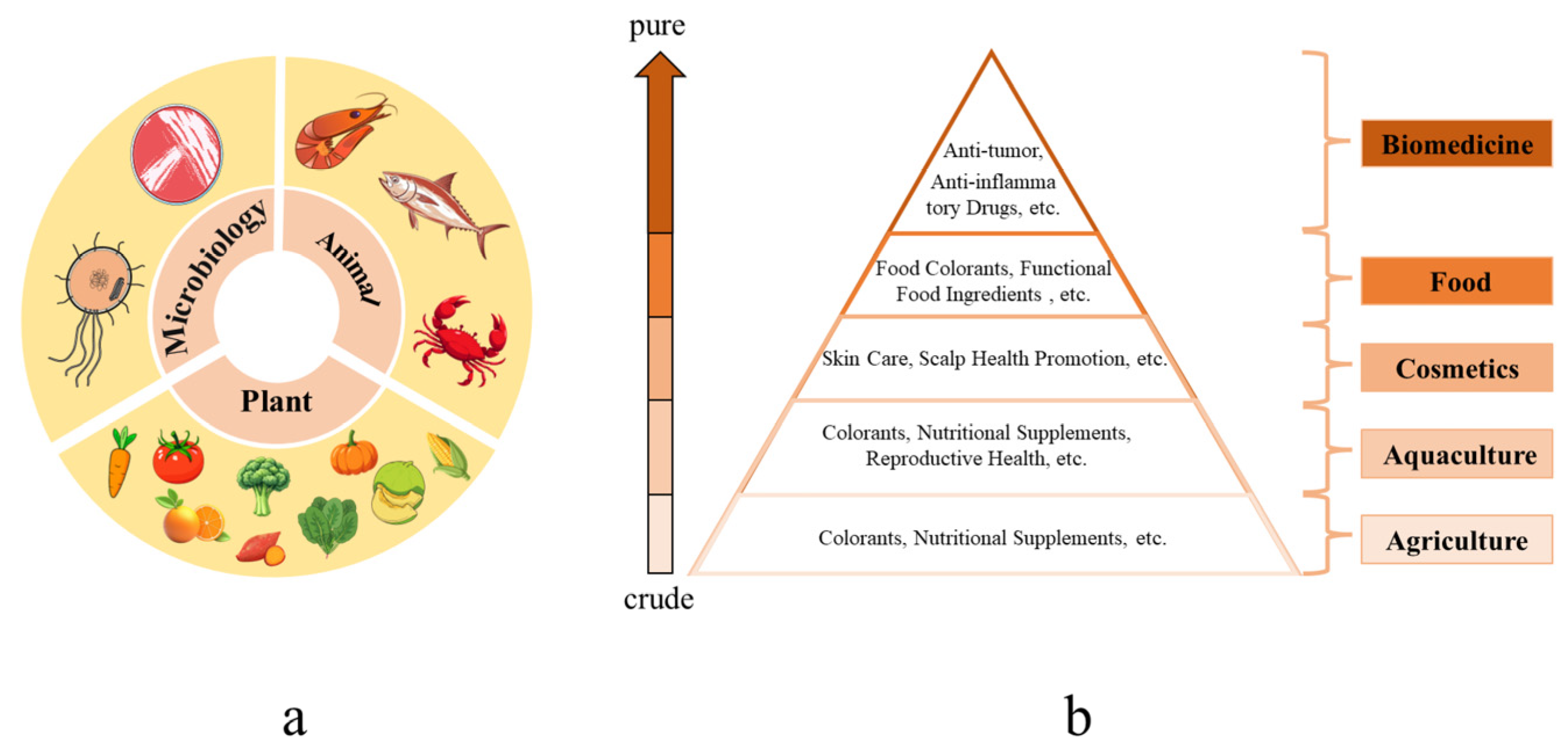 Antioxidants 14 00577 g001