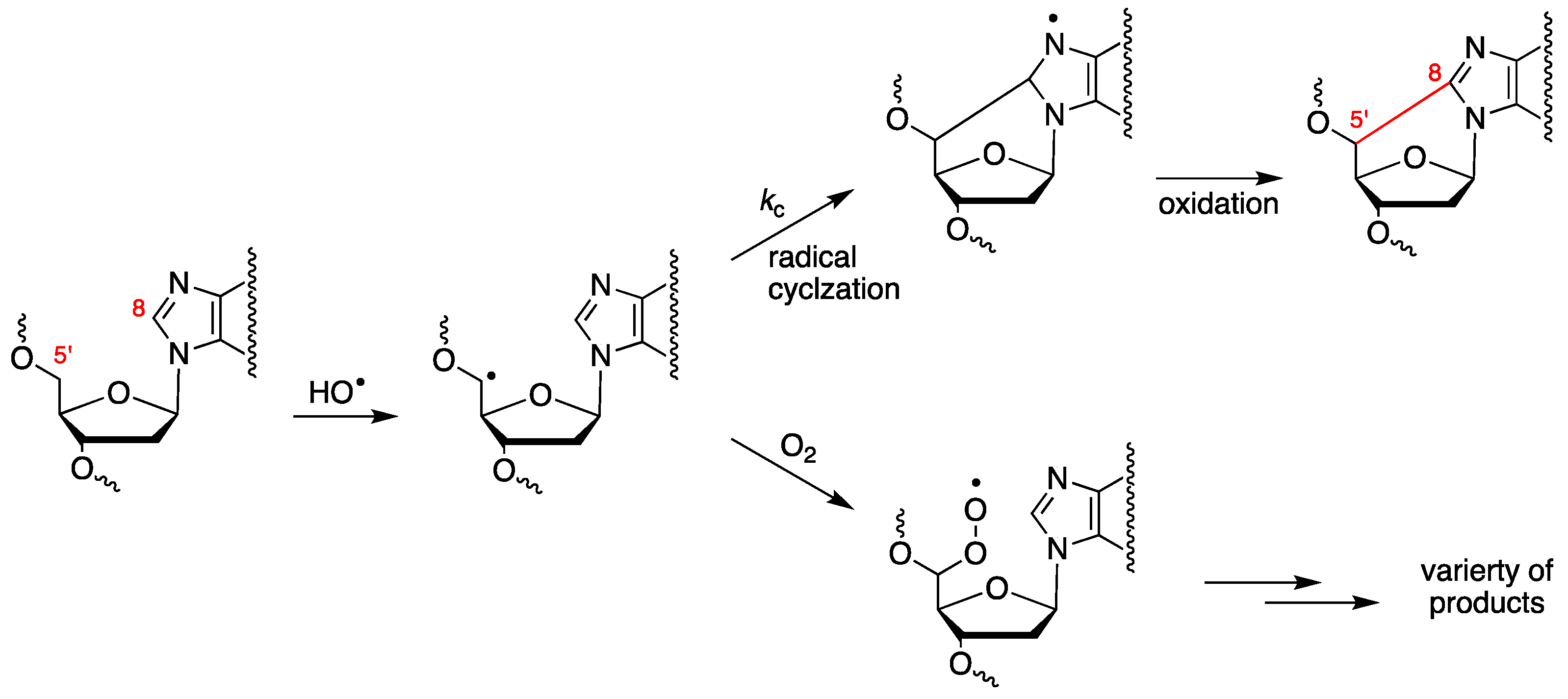 Antioxidants 14 00578 g003 Antioxidants 14 00578 g003