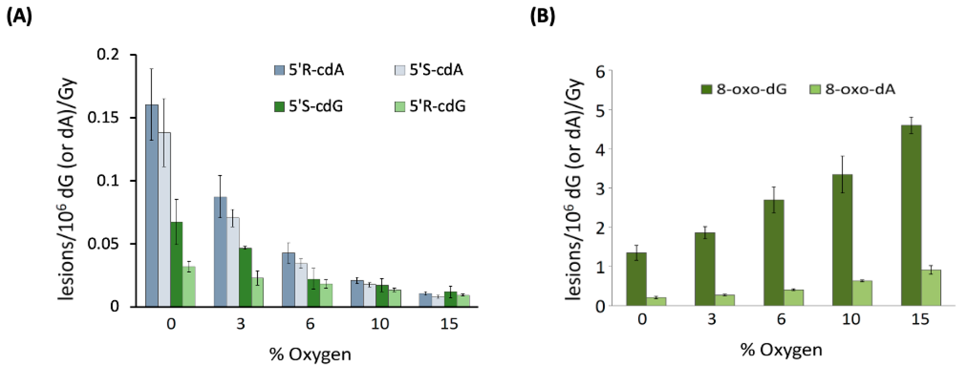 Antioxidants 14 00578 g005 Antioxidants 14 00578 g005