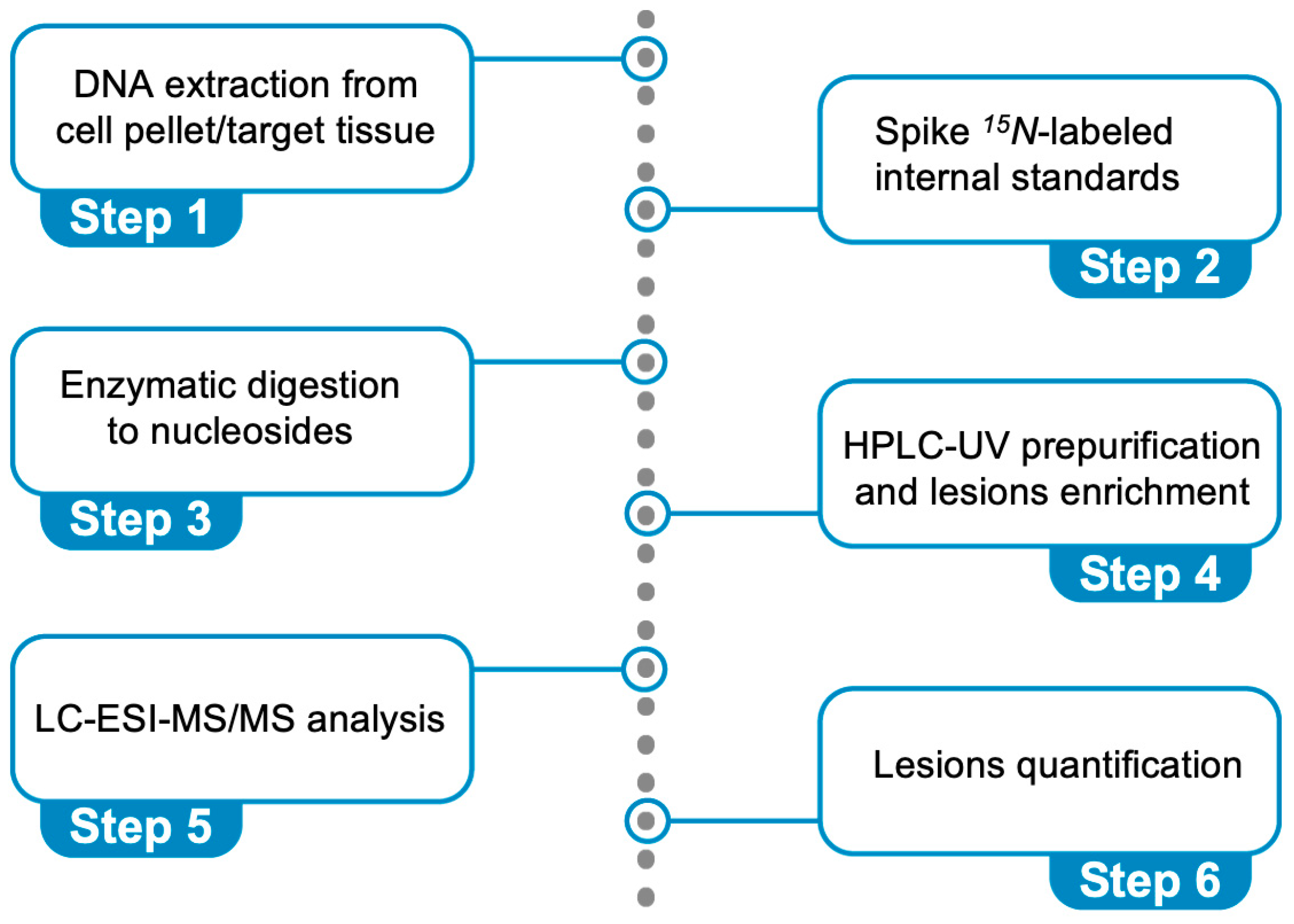 Antioxidants 14 00578 g006 Antioxidants 14 00578 g006