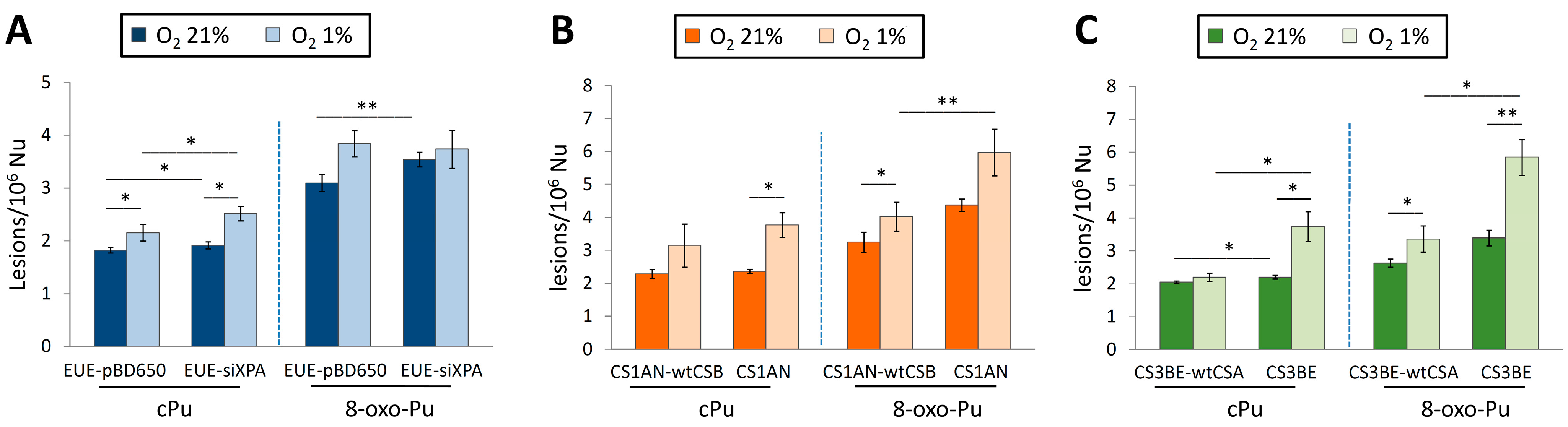 Antioxidants 14 00578 g008 Antioxidants 14 00578 g008