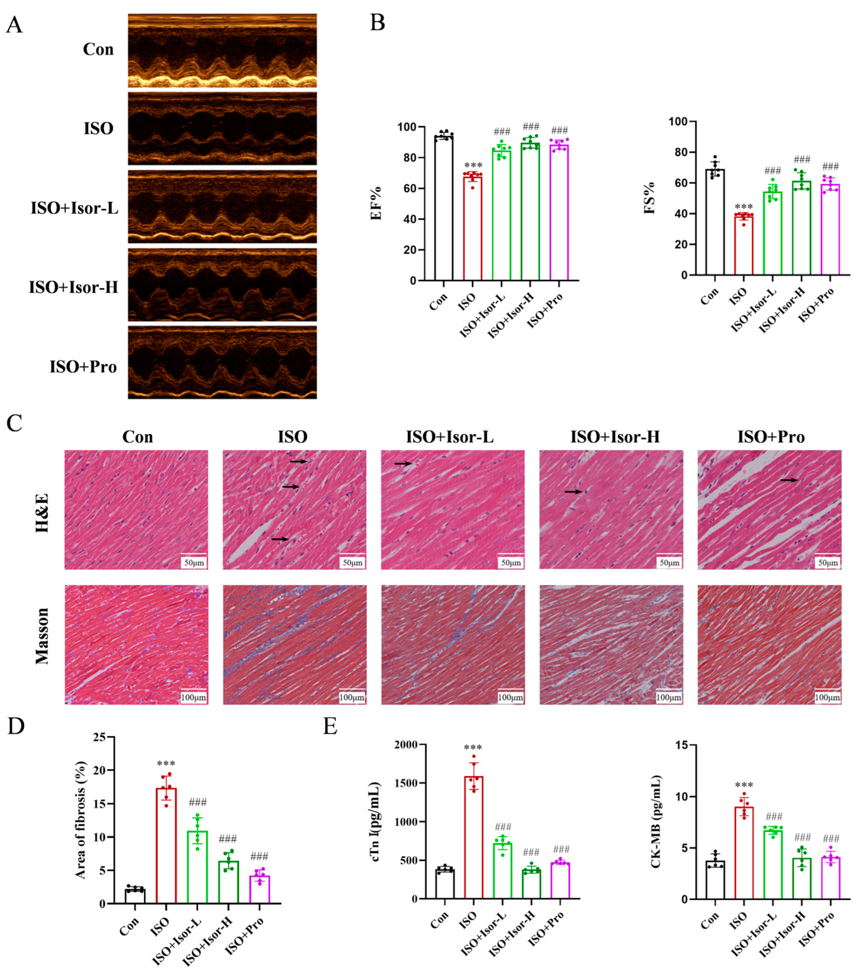 Antioxidants 14 00579 g001 Antioxidants 14 00579 g001