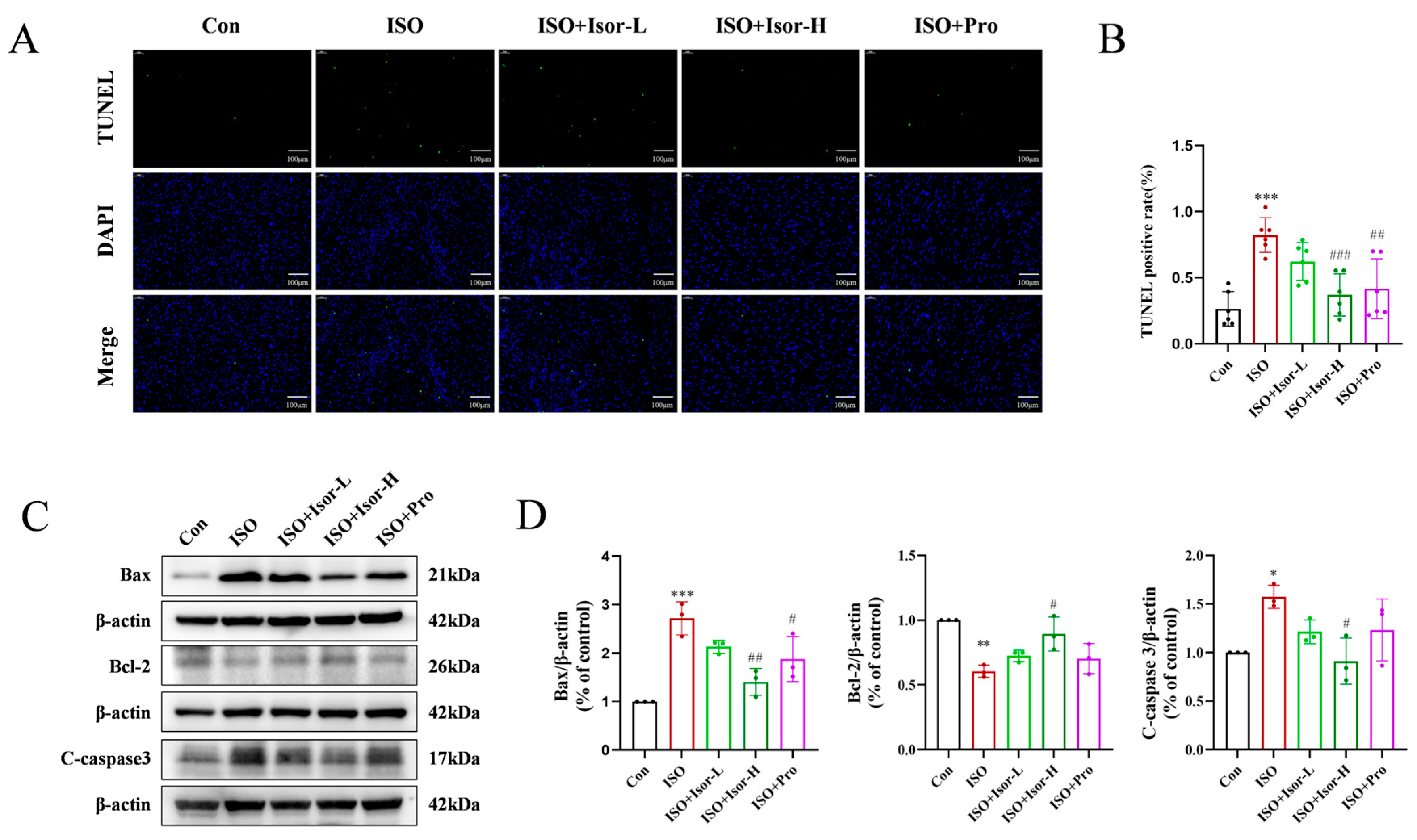Antioxidants 14 00579 g002 Antioxidants 14 00579 g002