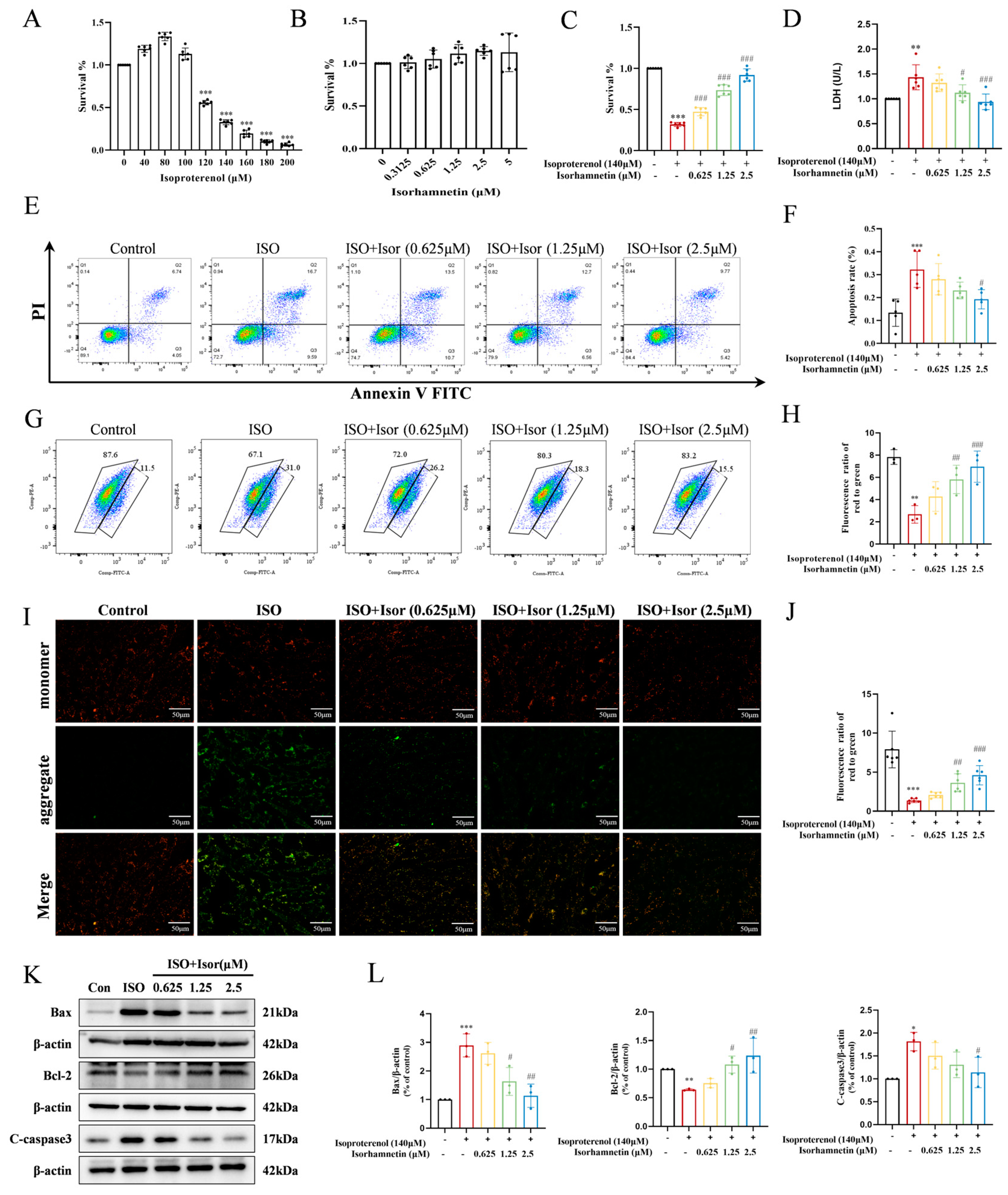 Antioxidants 14 00579 g004 Antioxidants 14 00579 g004