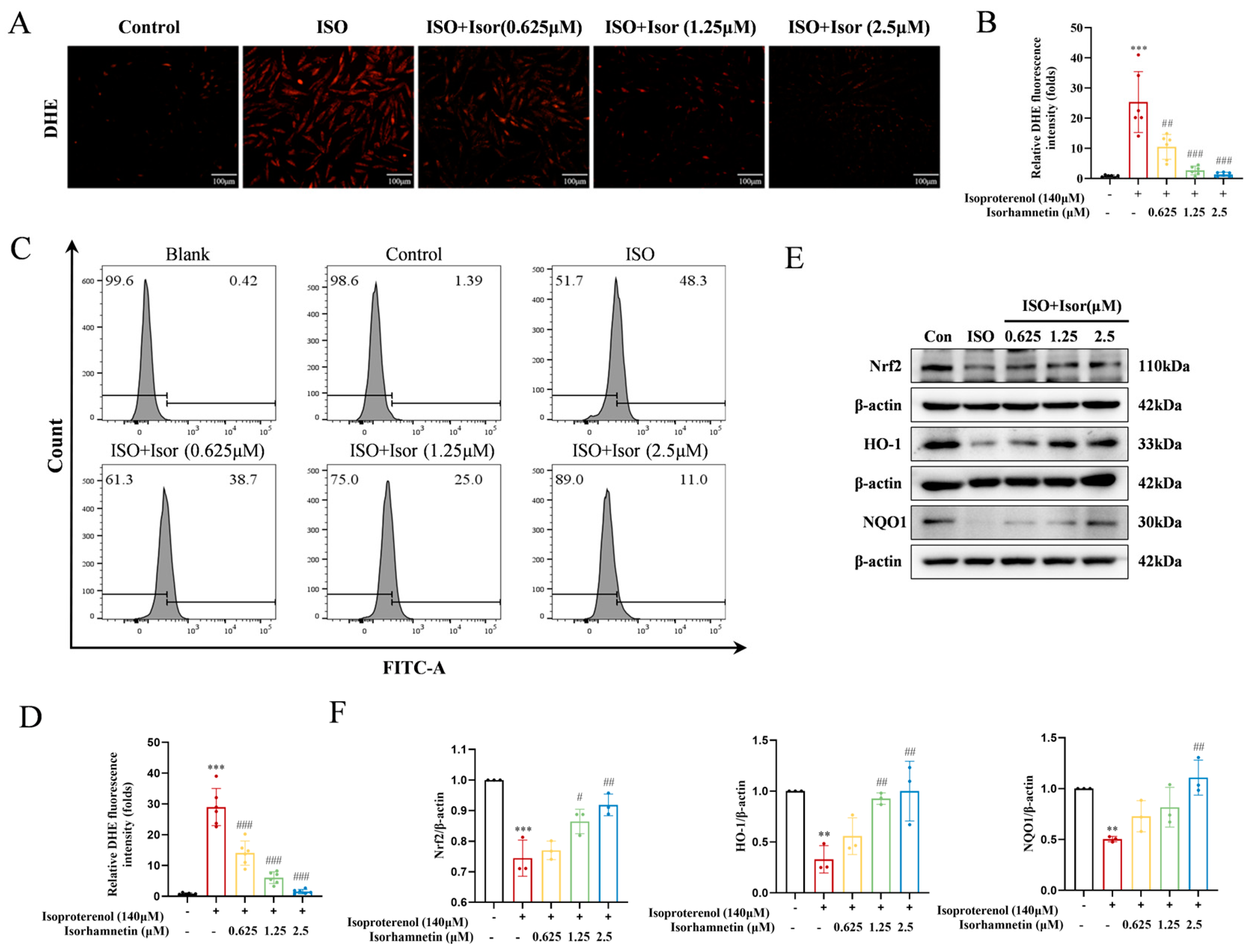 Antioxidants 14 00579 g005 Antioxidants 14 00579 g005