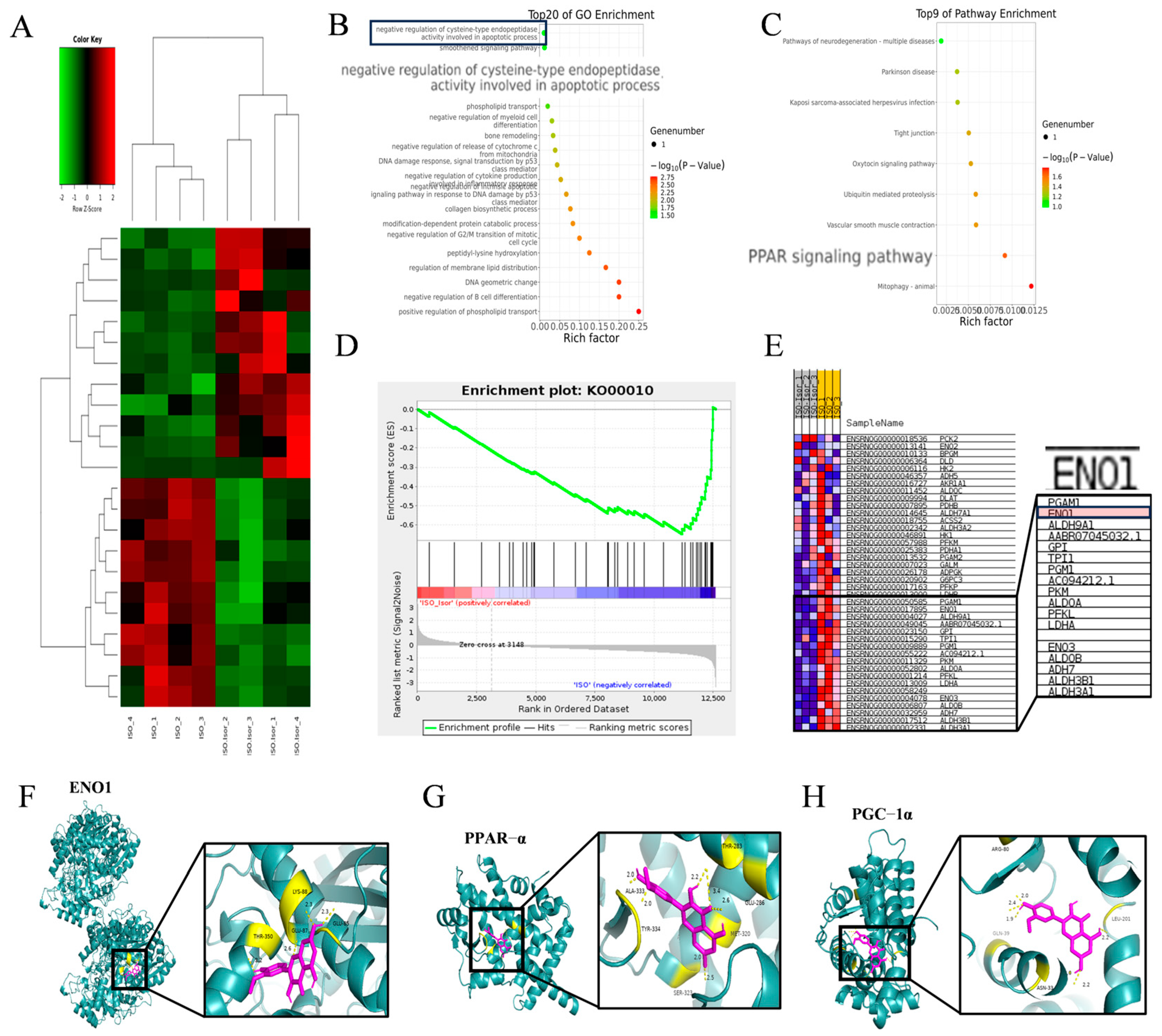 Antioxidants 14 00579 g006 Antioxidants 14 00579 g006