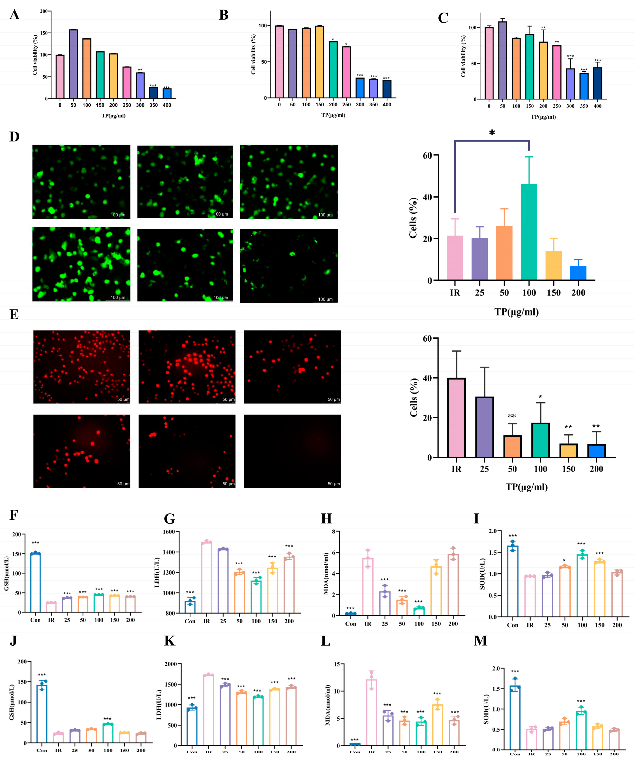 Tea Polyphenols Mitigate Radiation-Induced Ferroptosis and