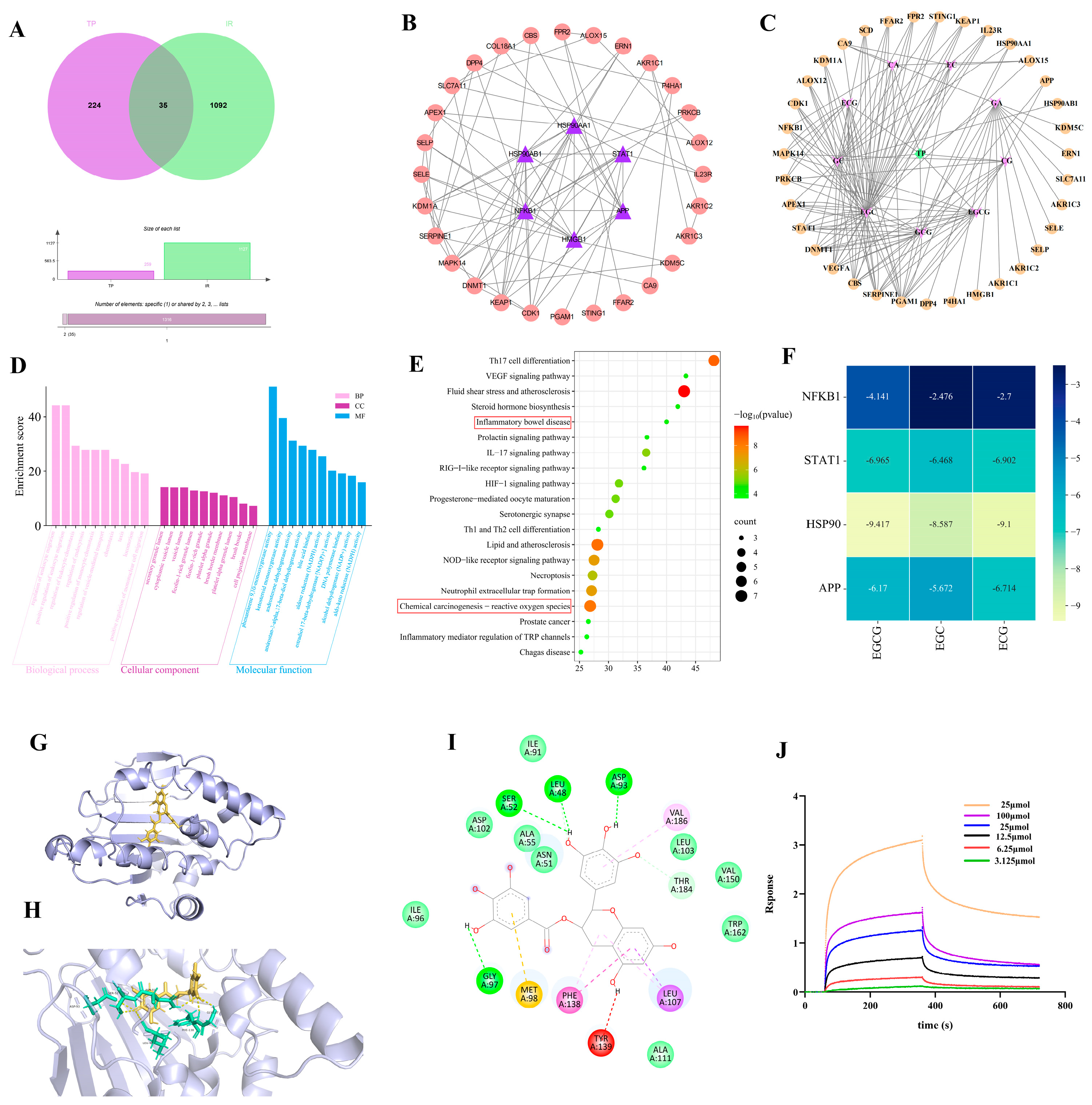 Antioxidants 14 00580 g003