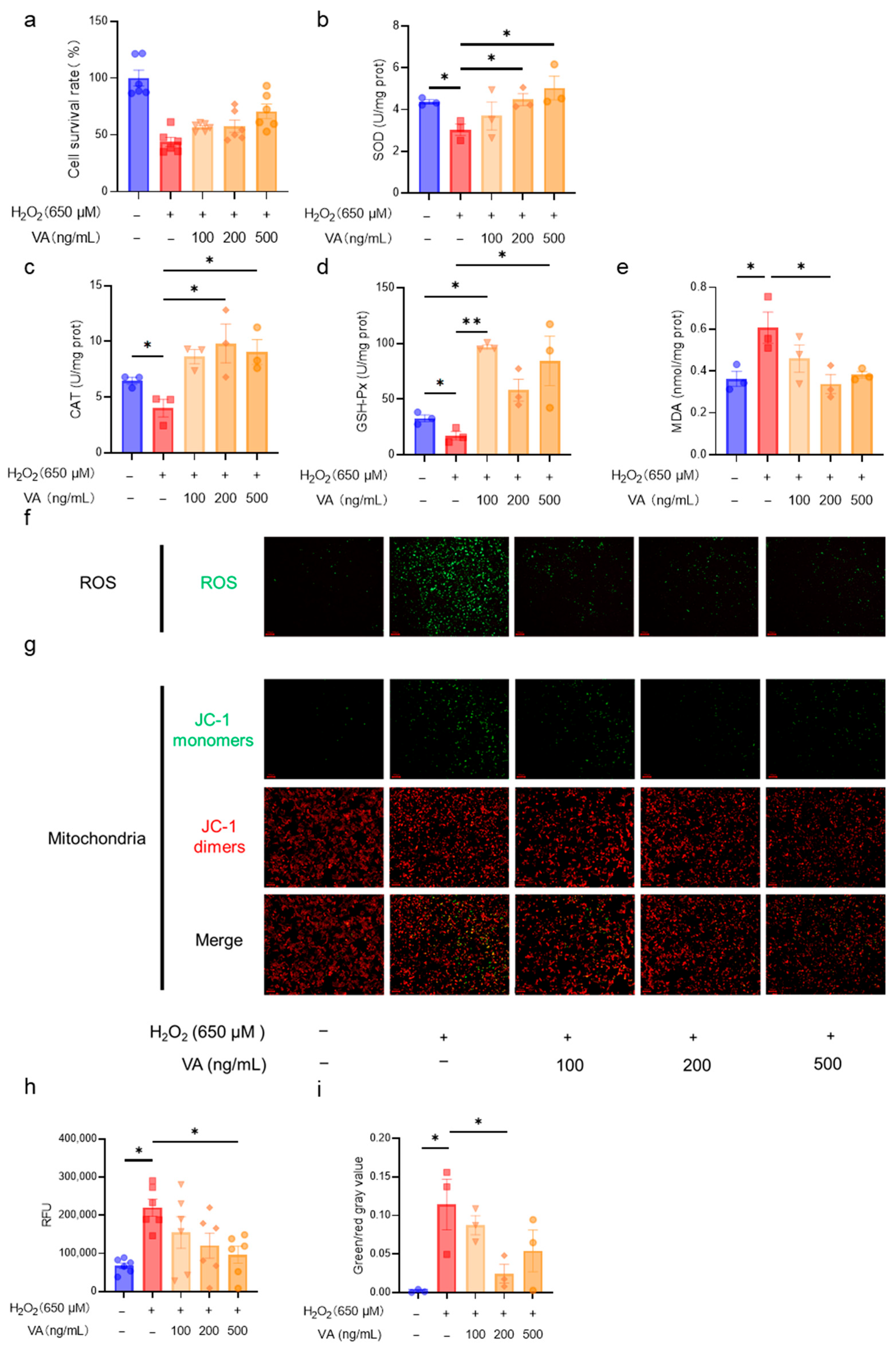 Antioxidants 14 00583 g002