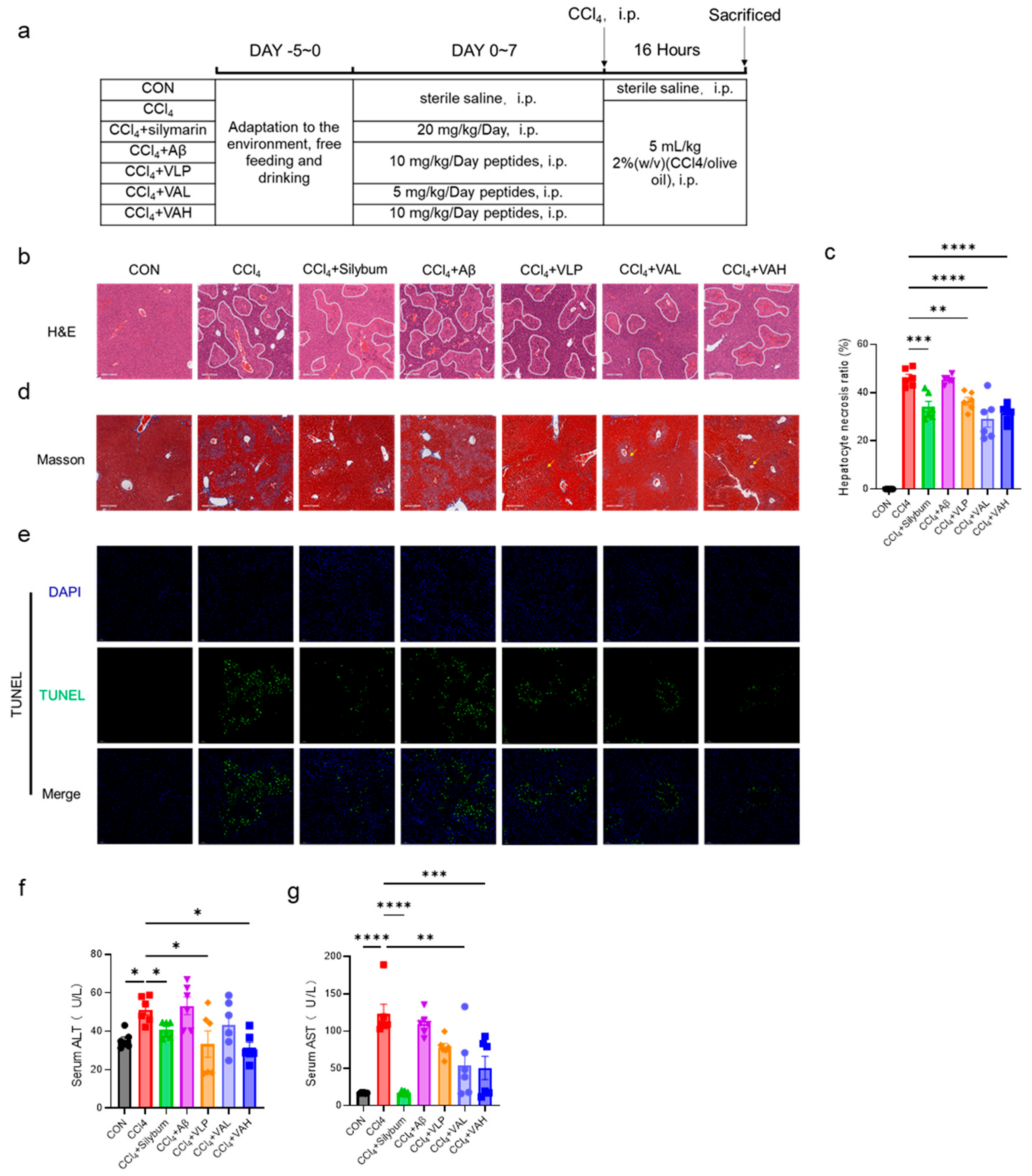 Antioxidants 14 00583 g003