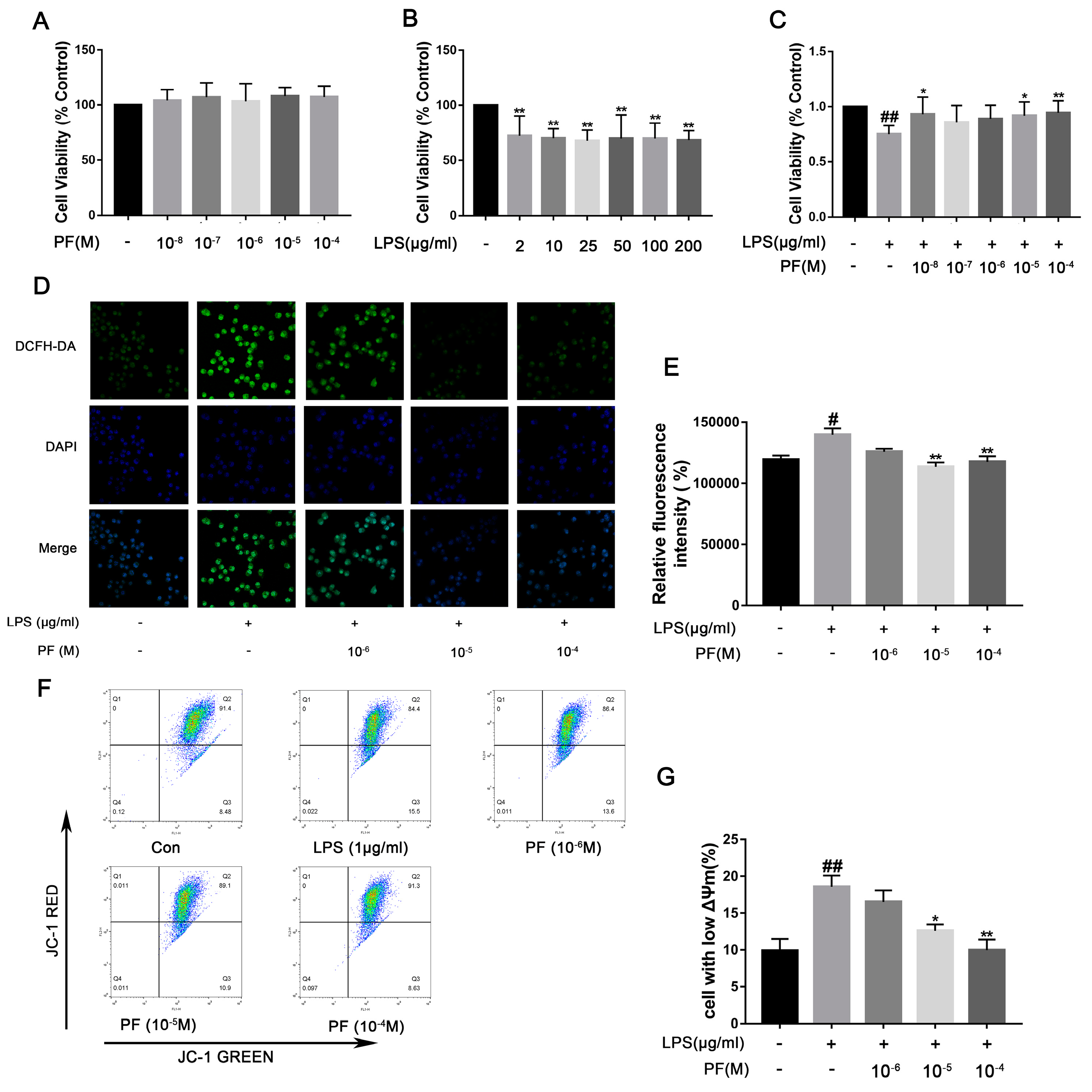 Antioxidants 14 00585 g006