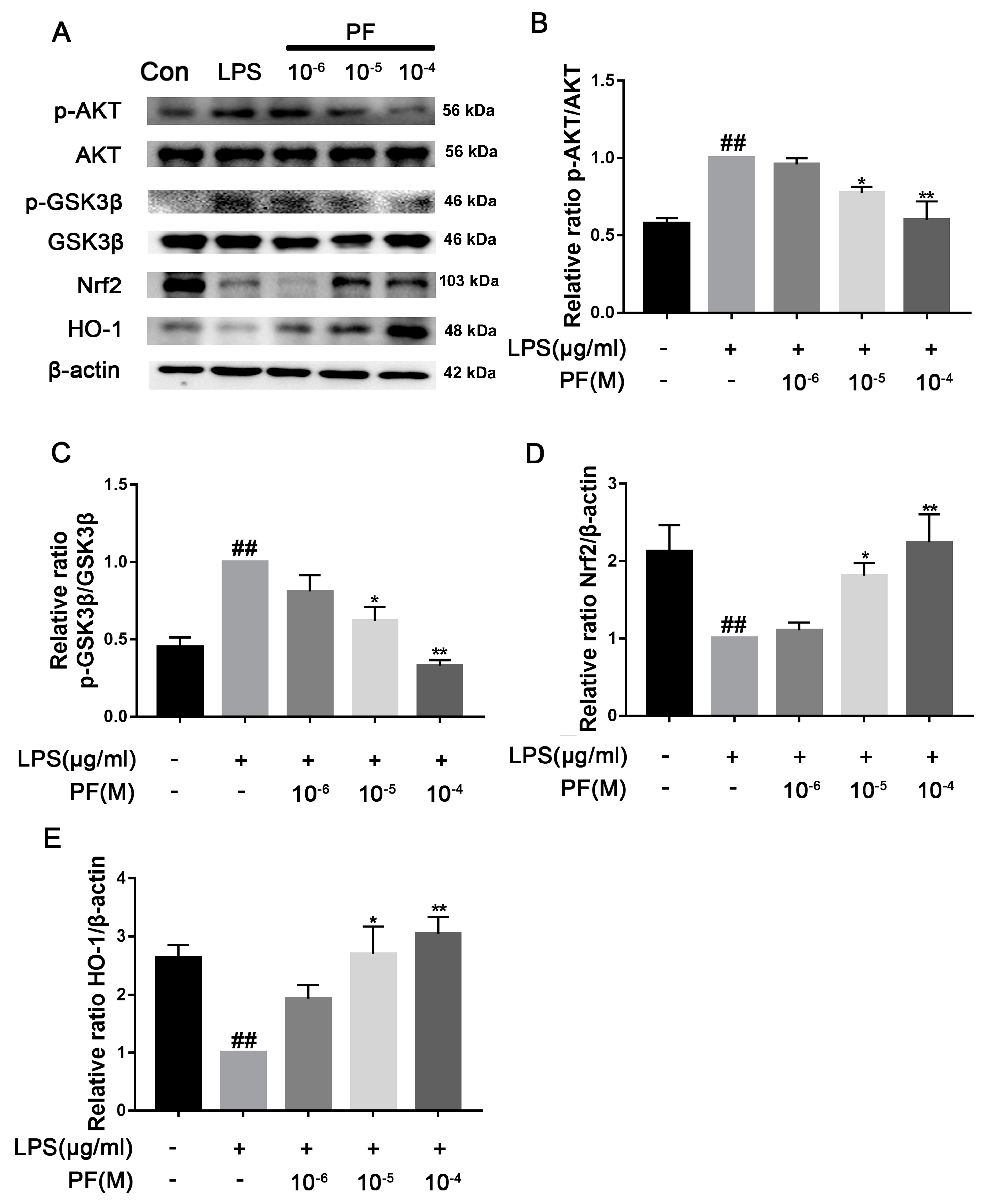 Antioxidants 14 00585 g009