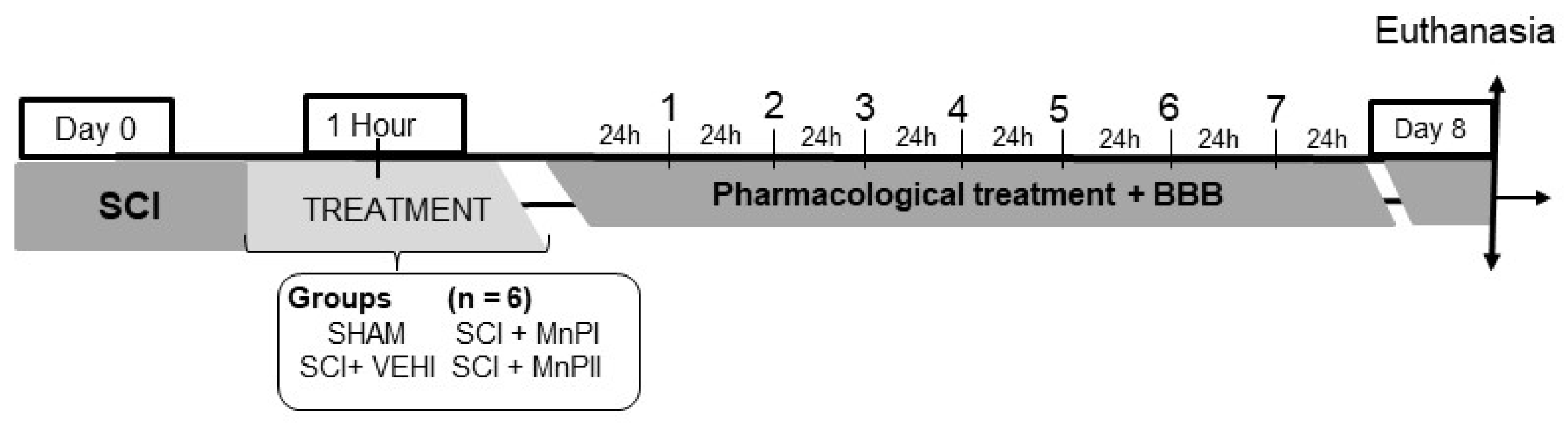 Antioxidants 14 00587 g001