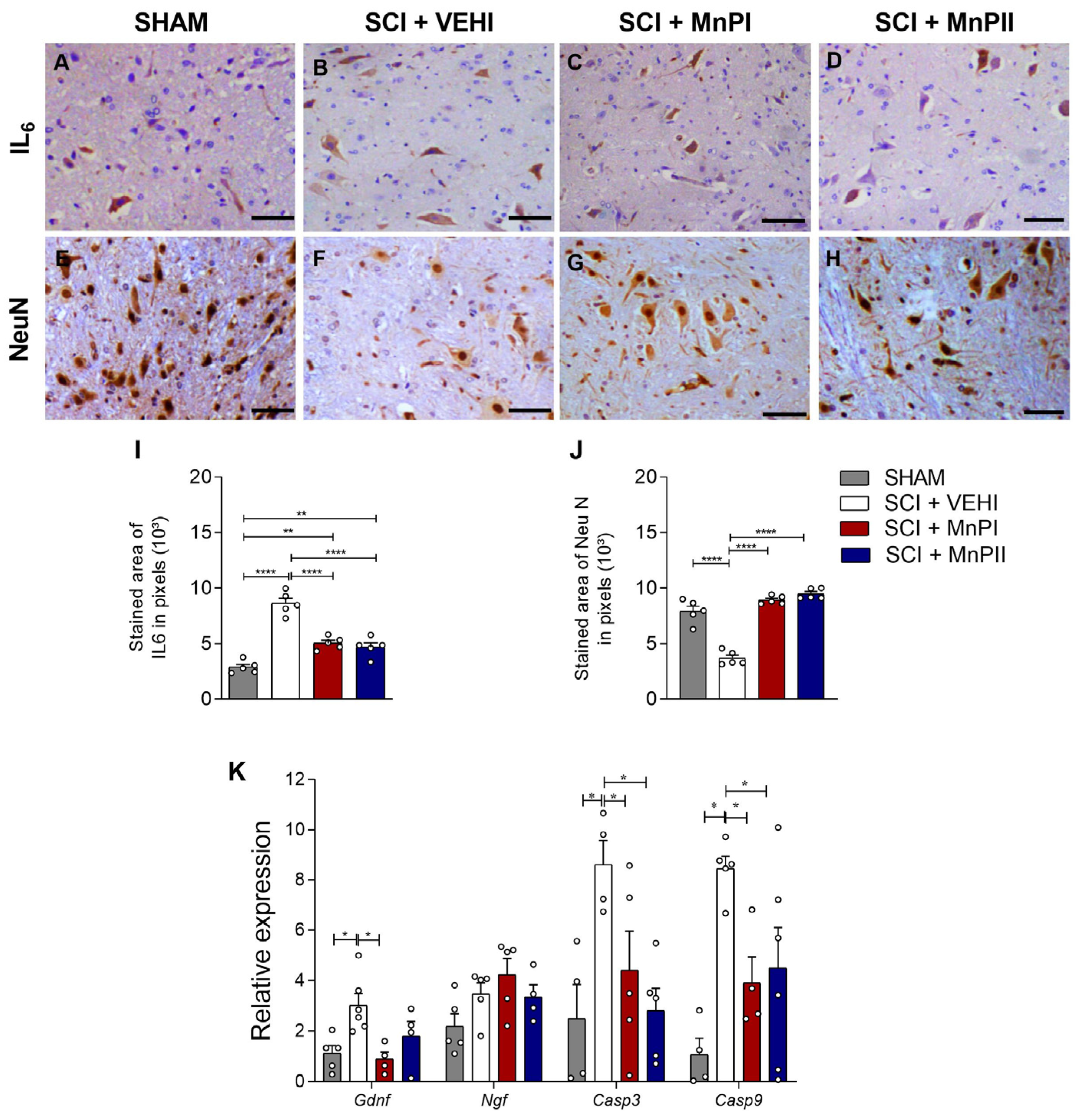Antioxidants 14 00587 g007