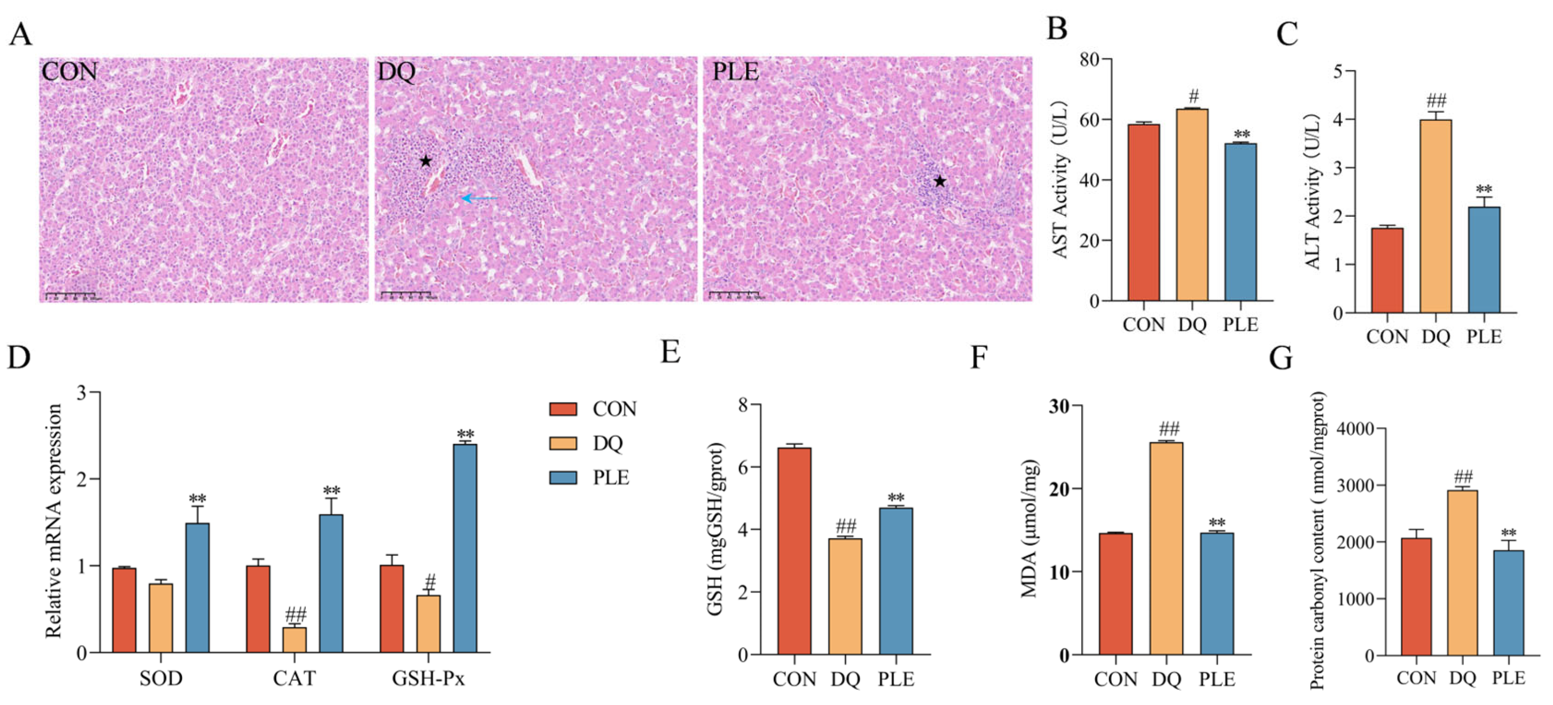 Antioxidants 14 00592 g003
