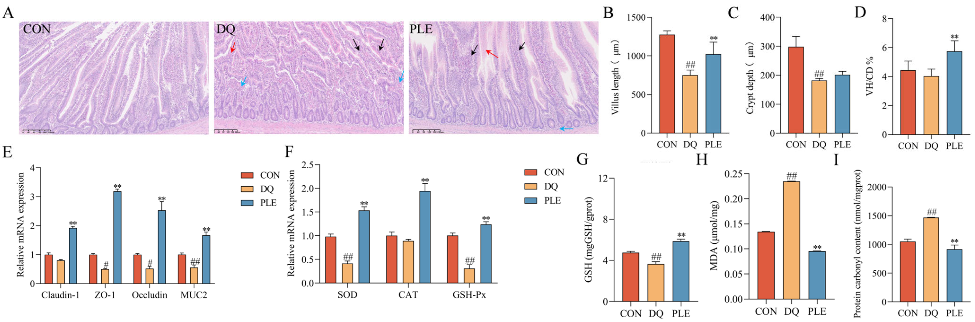 Antioxidants 14 00592 g004