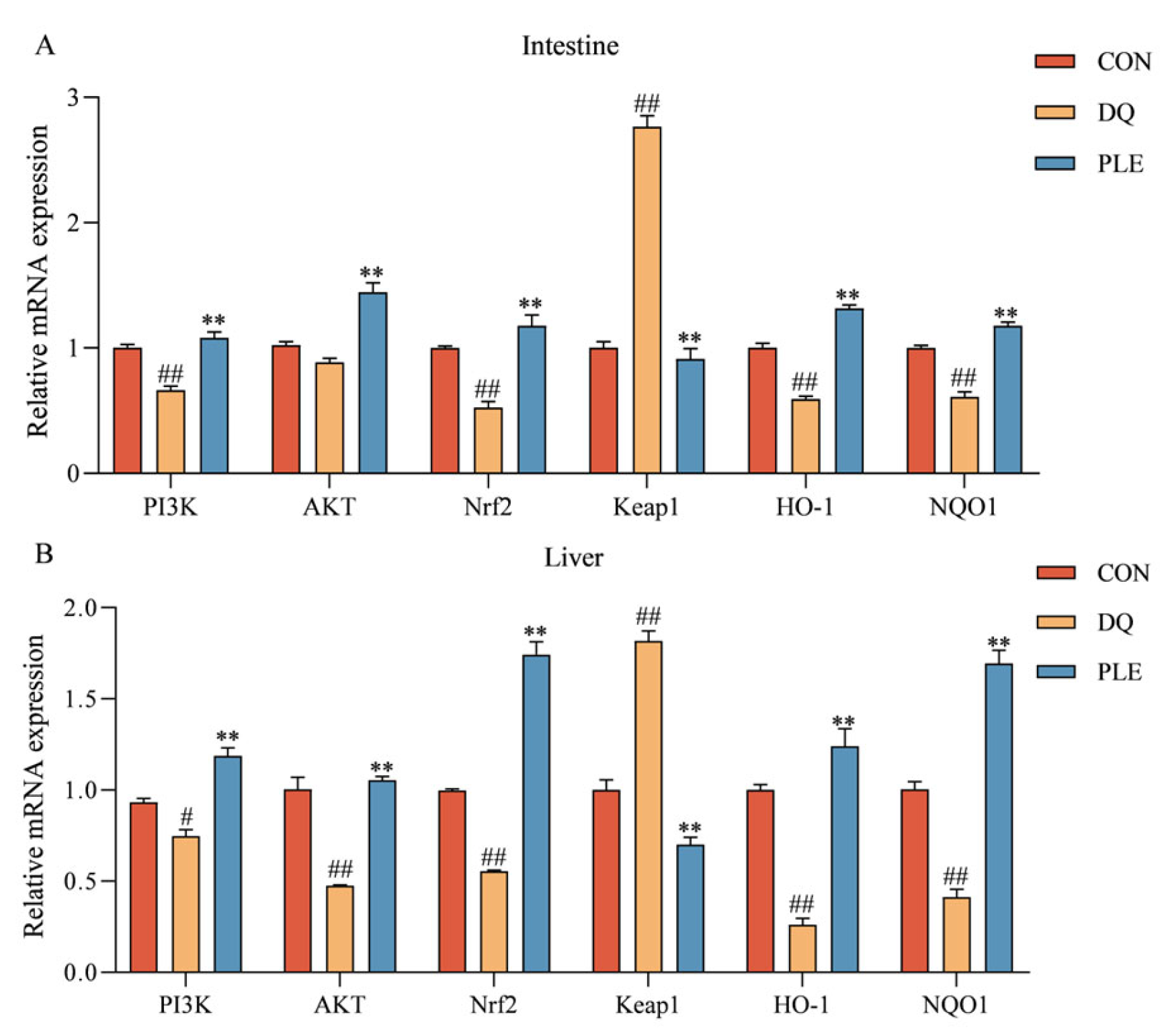 Antioxidants 14 00592 g008