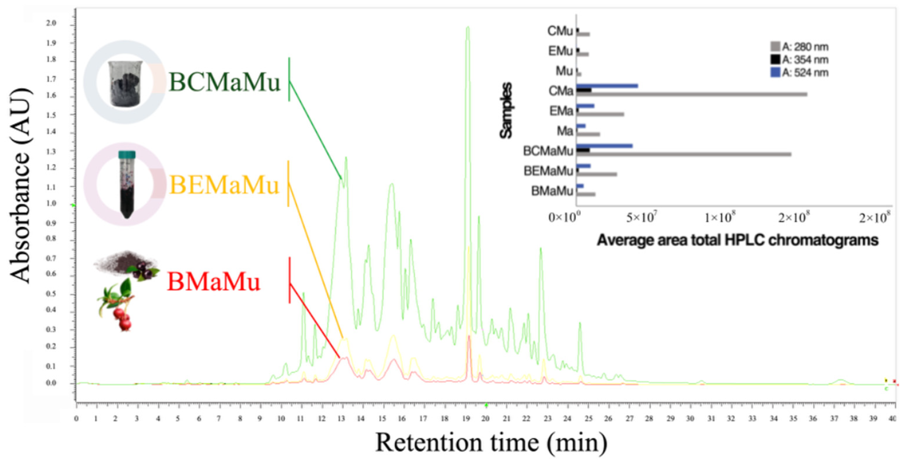 Antioxidants 14 00600 g007